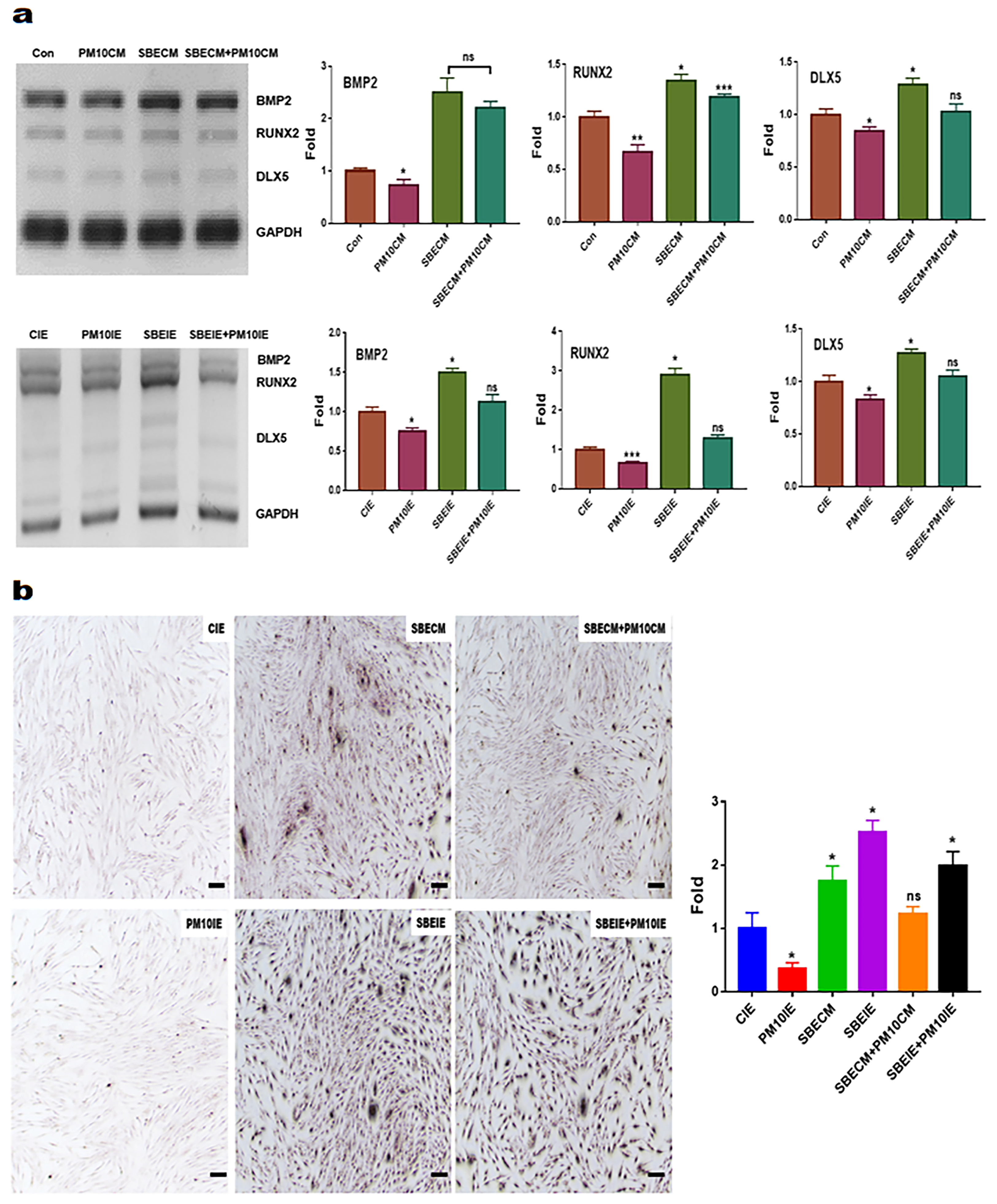 Nanomaterials 14 01396 g006