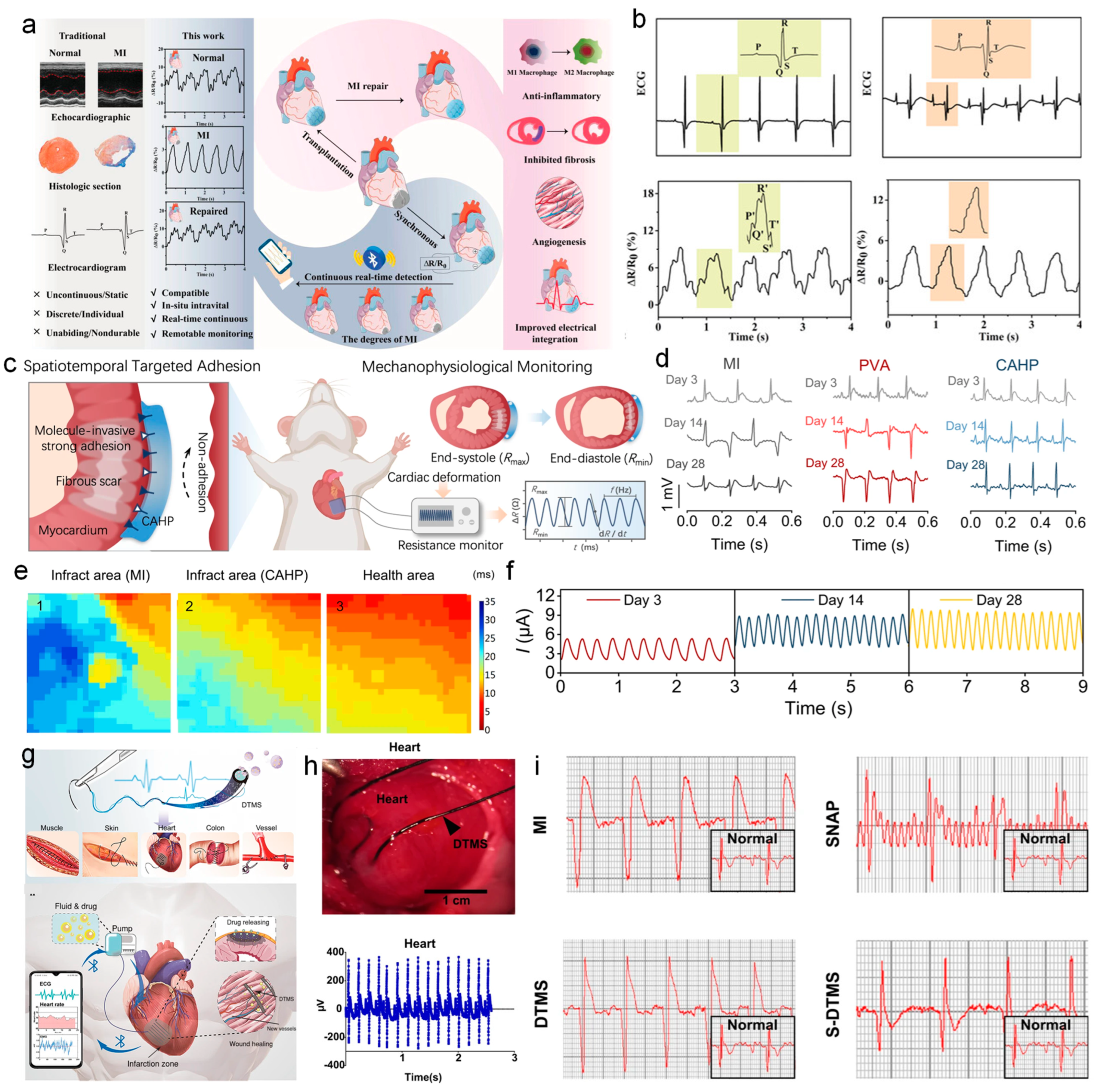 Nanomaterials 14 01398 g008