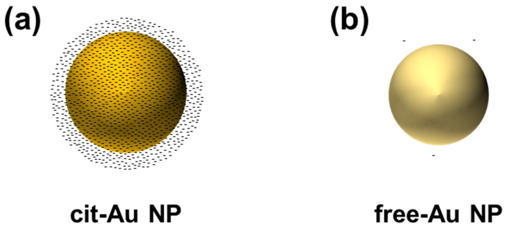 Nanomaterials 14 01399 g001
