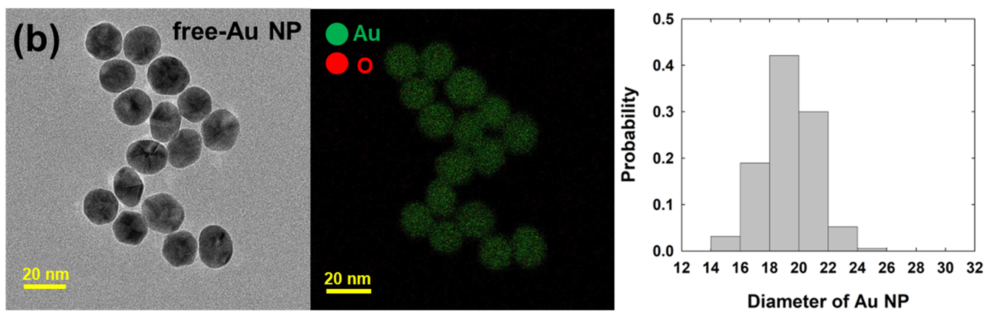 Nanomaterials 14 01399 g002b