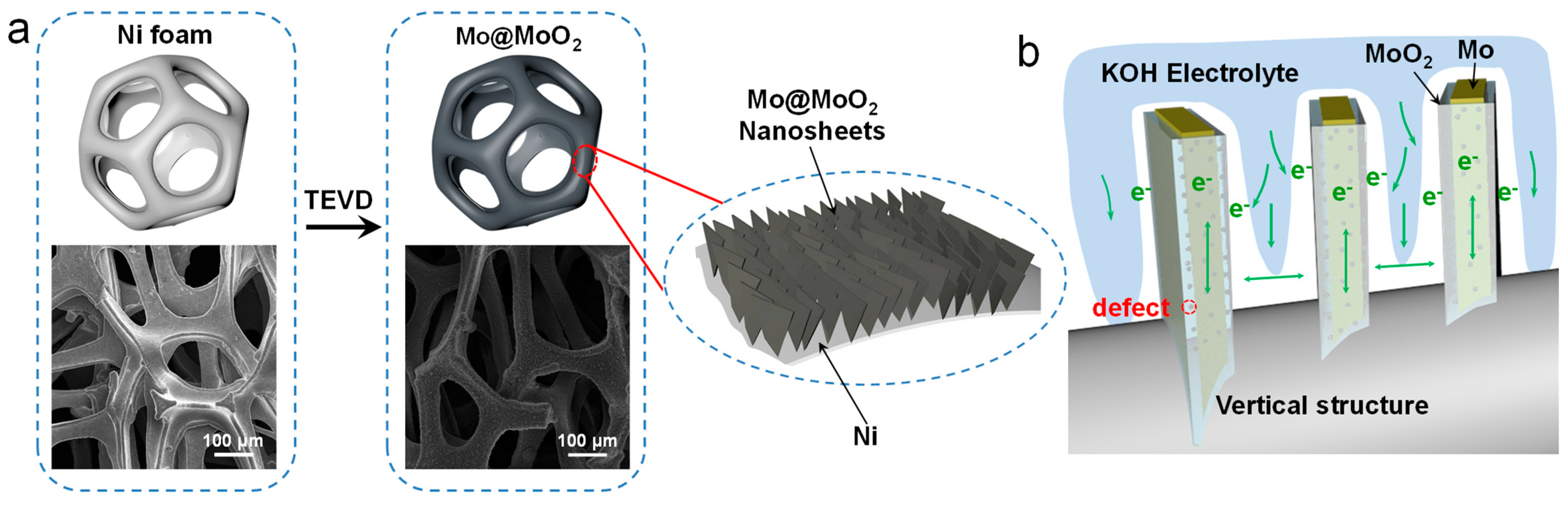 Nanomaterials 14 01404 g001