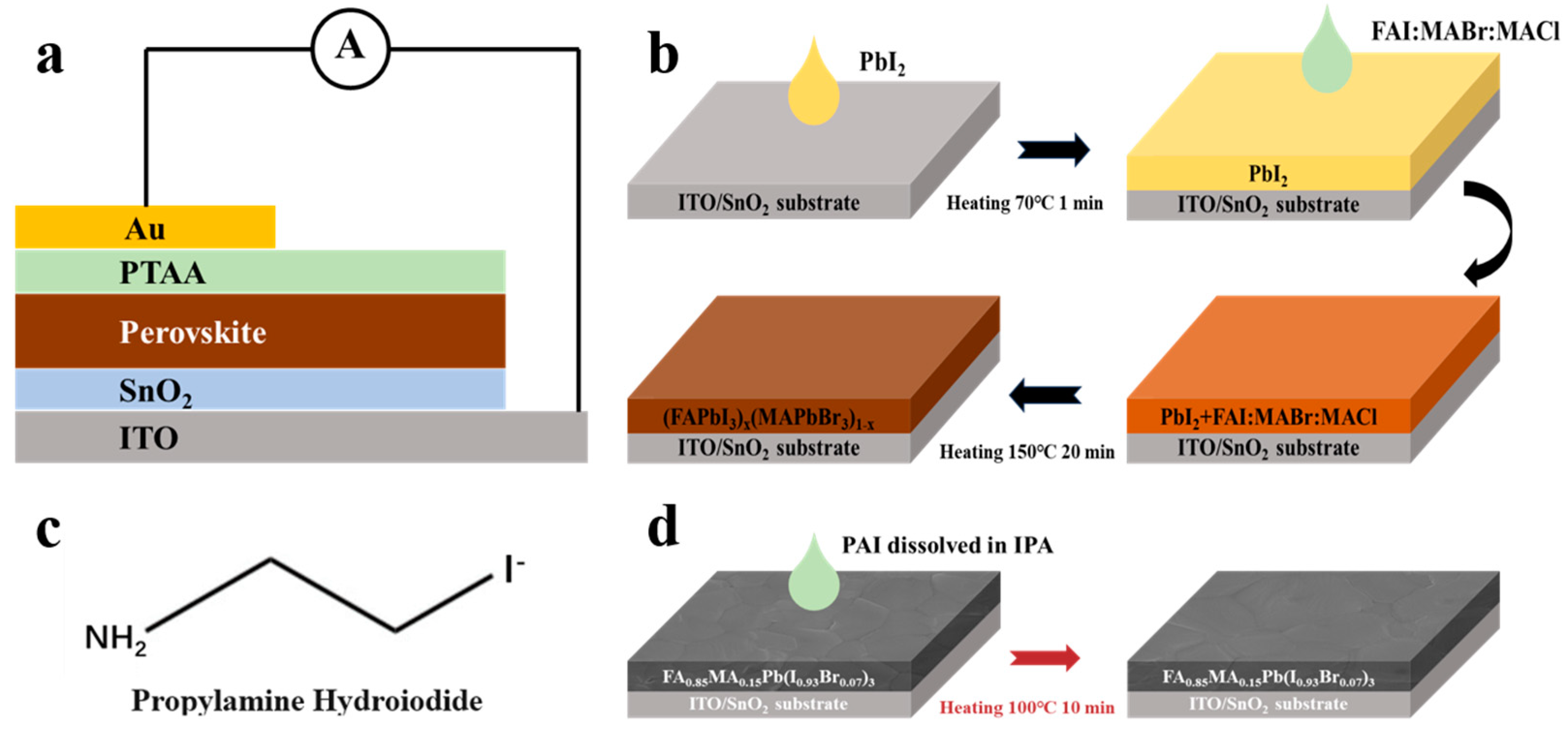 Nanomaterials 14 01416 g001