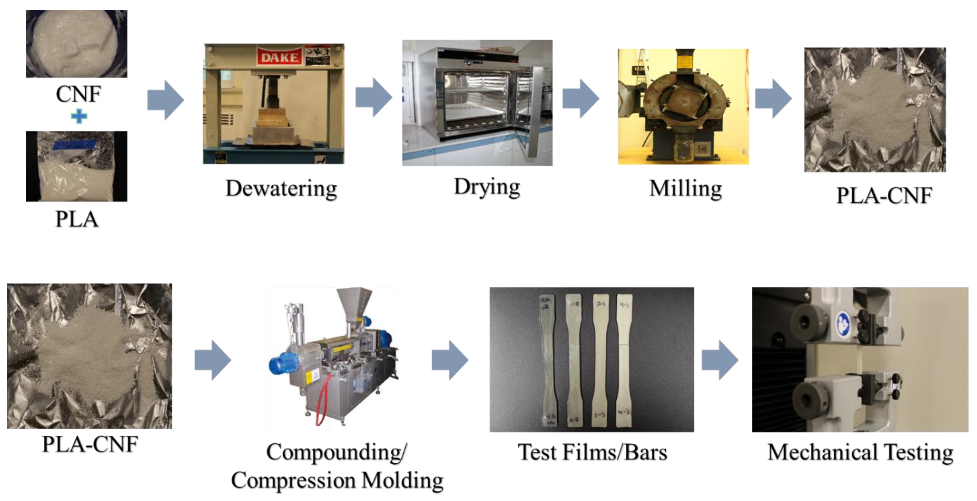 Nanomaterials 14 01419 g001