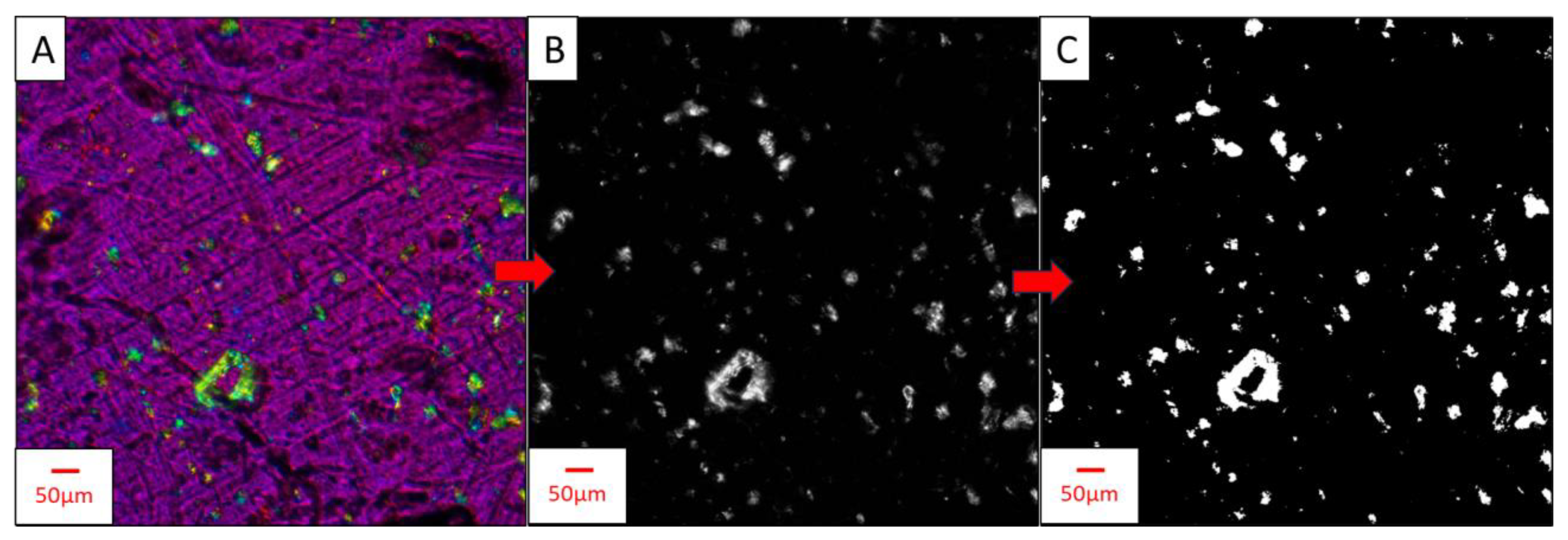 Nanomaterials 14 01419 g002