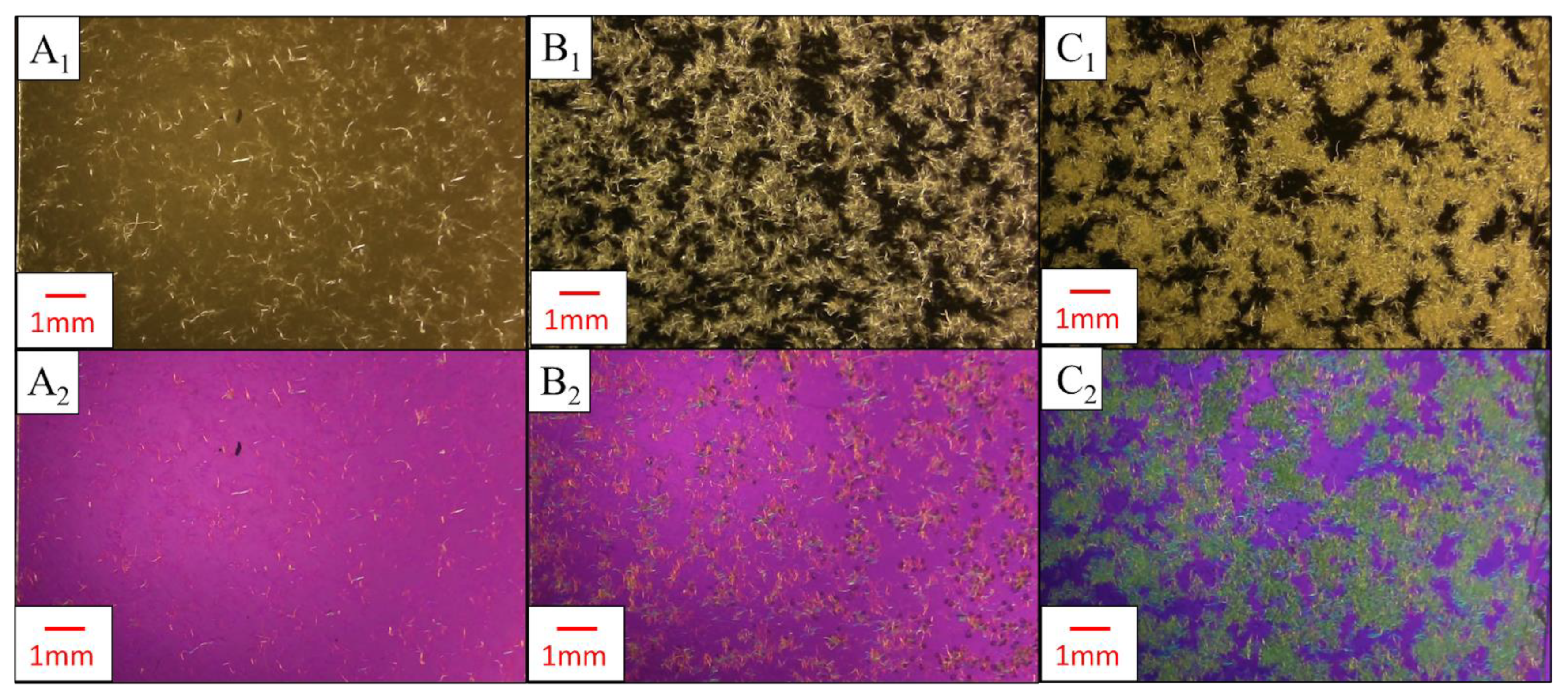 Nanomaterials 14 01419 g009