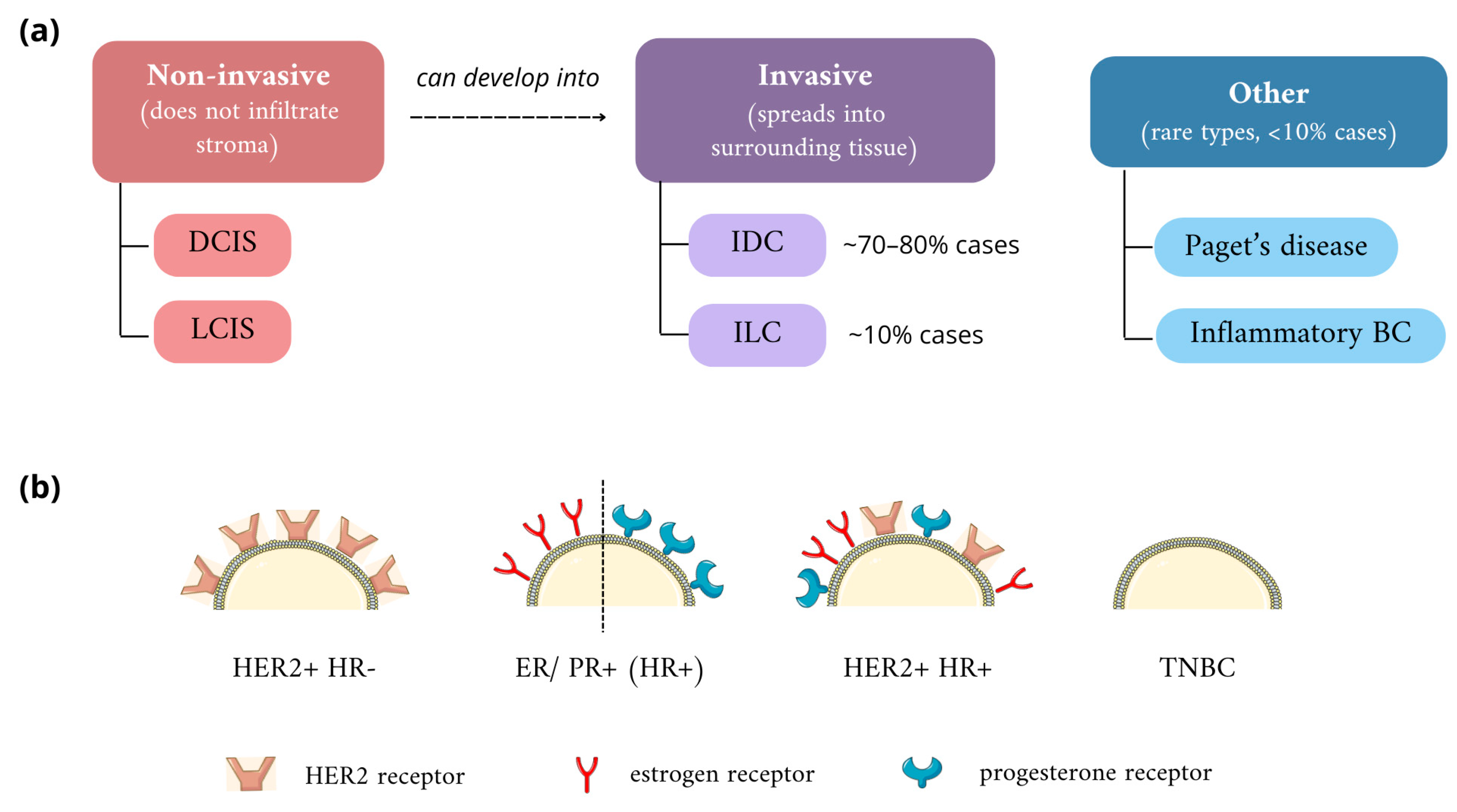 Nanomaterials 14 01424 g001