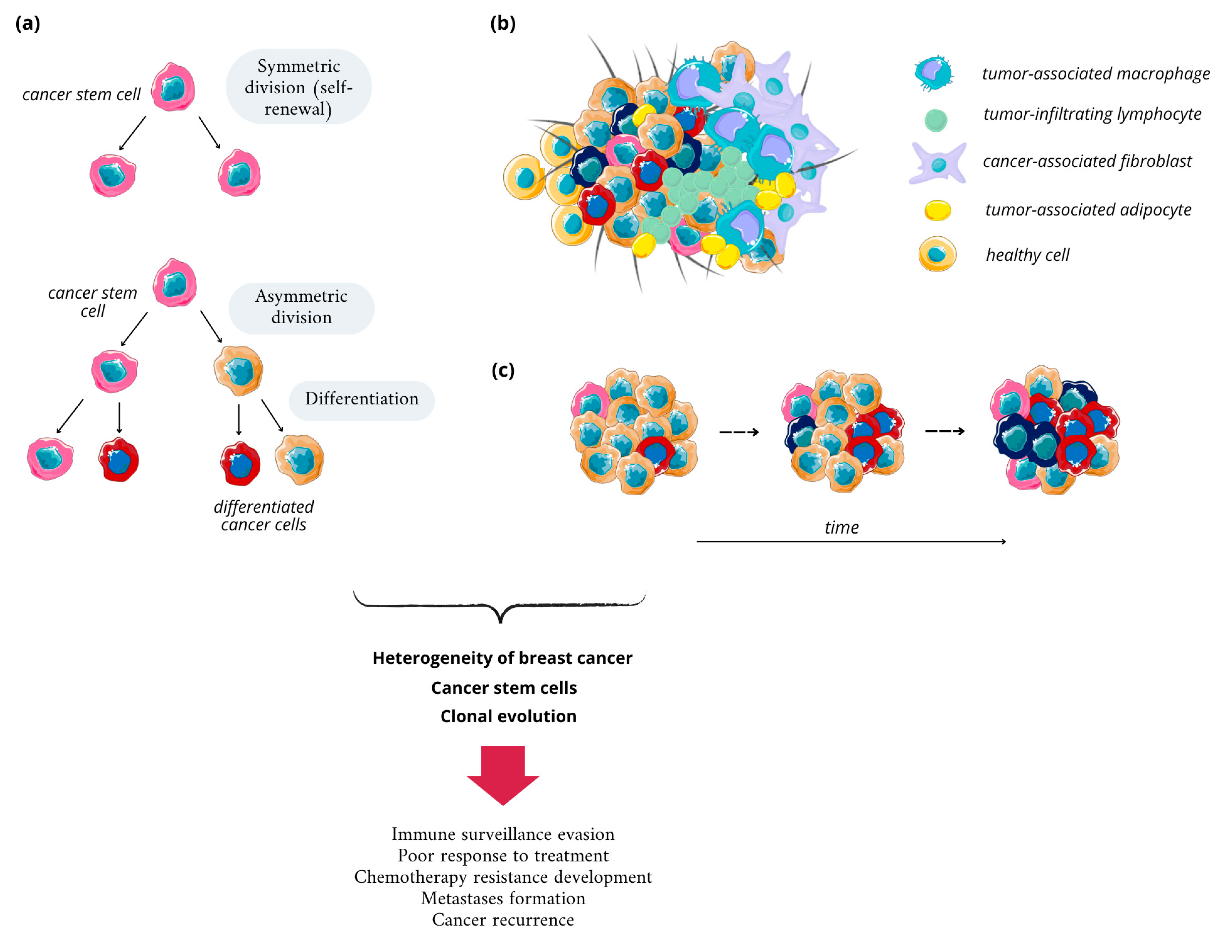 Nanomaterials 14 01424 g002