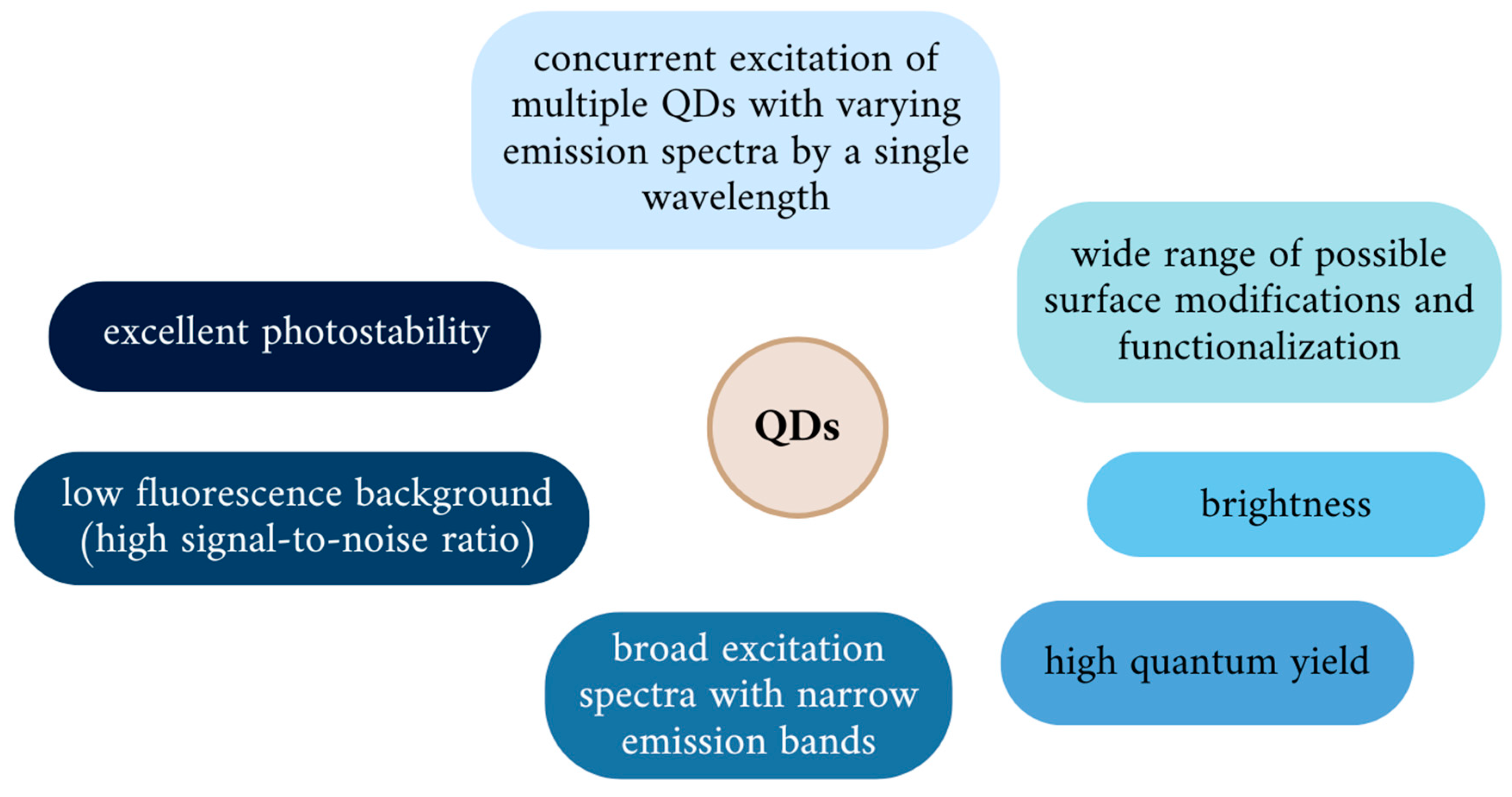 Nanomaterials 14 01424 g004