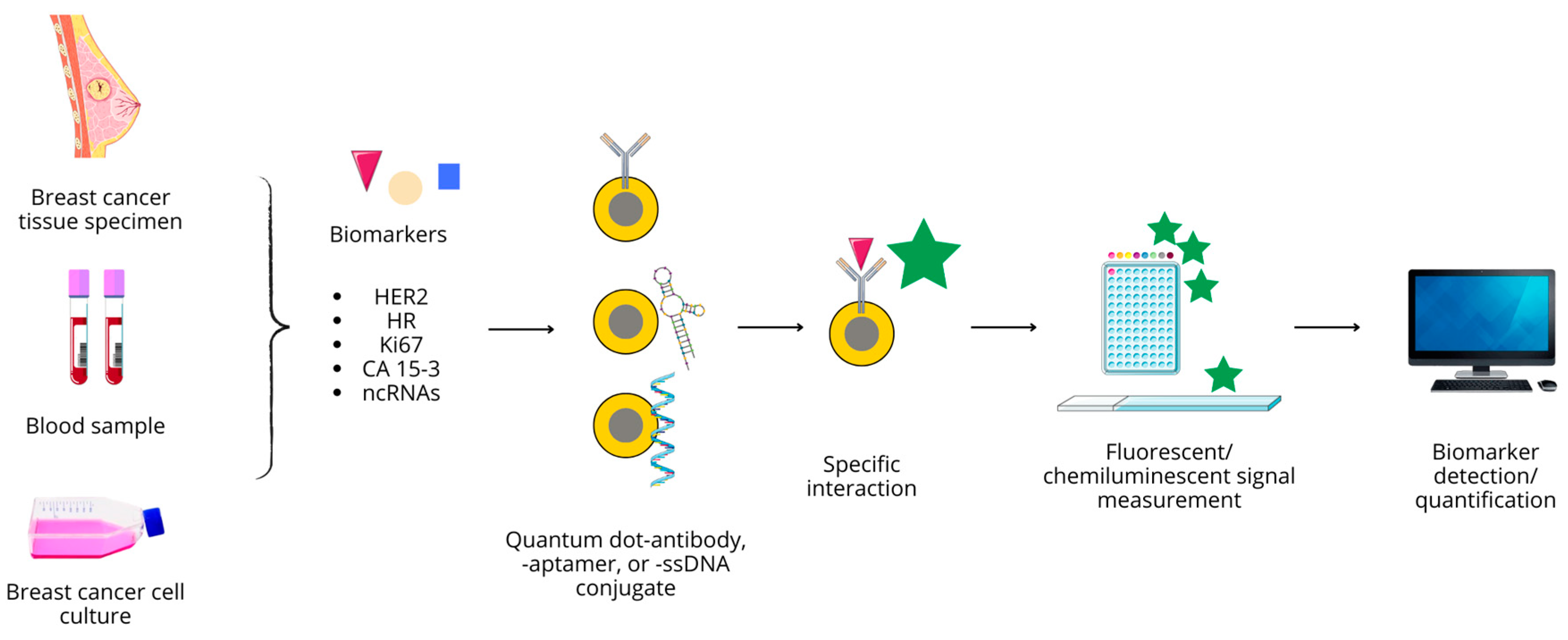 Nanomaterials 14 01424 g006