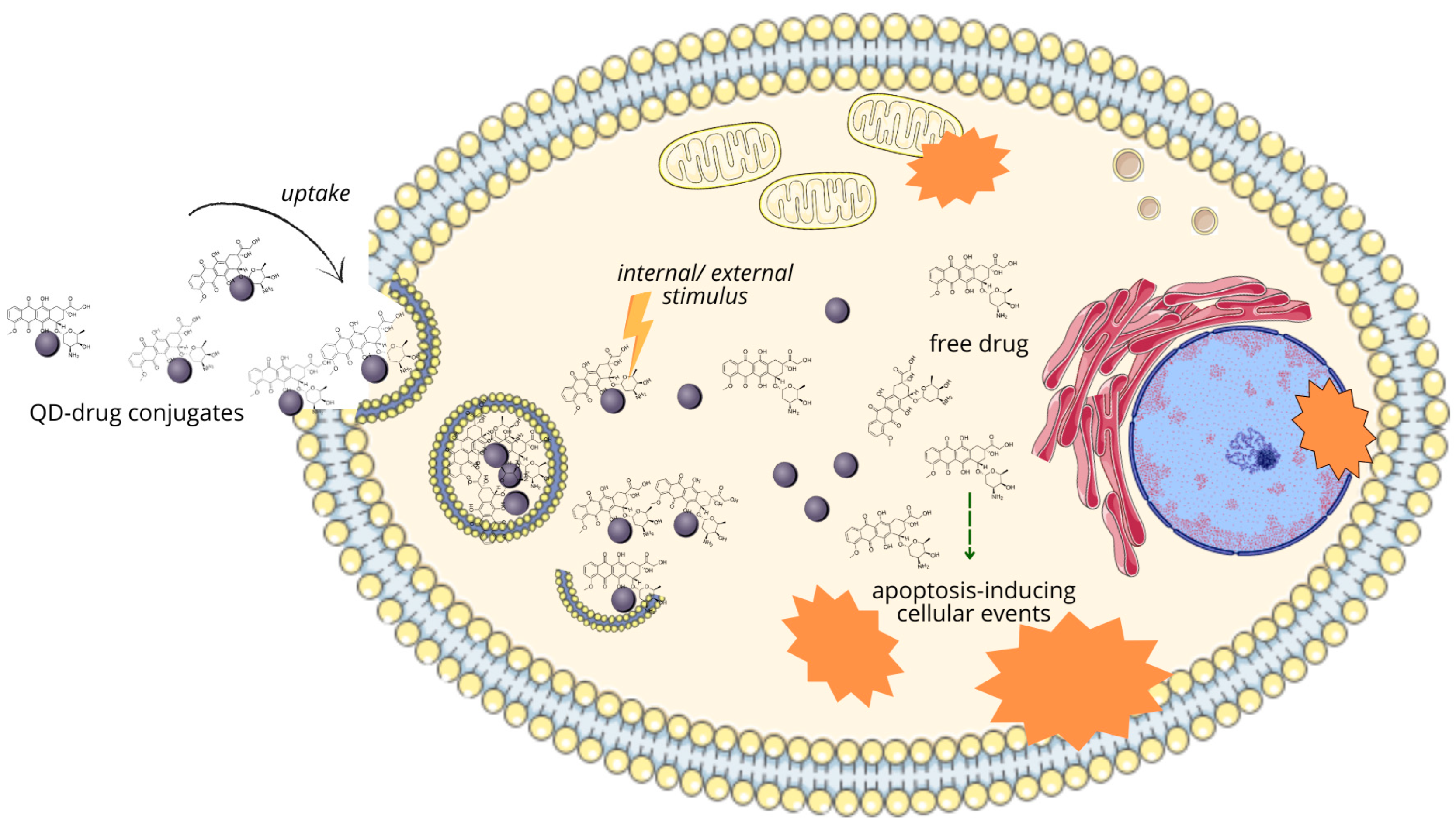 Nanomaterials 14 01424 g007