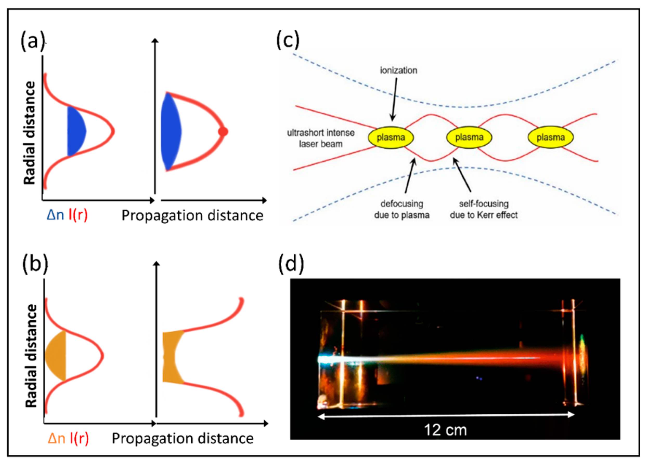 Nanomaterials 14 01428 g002