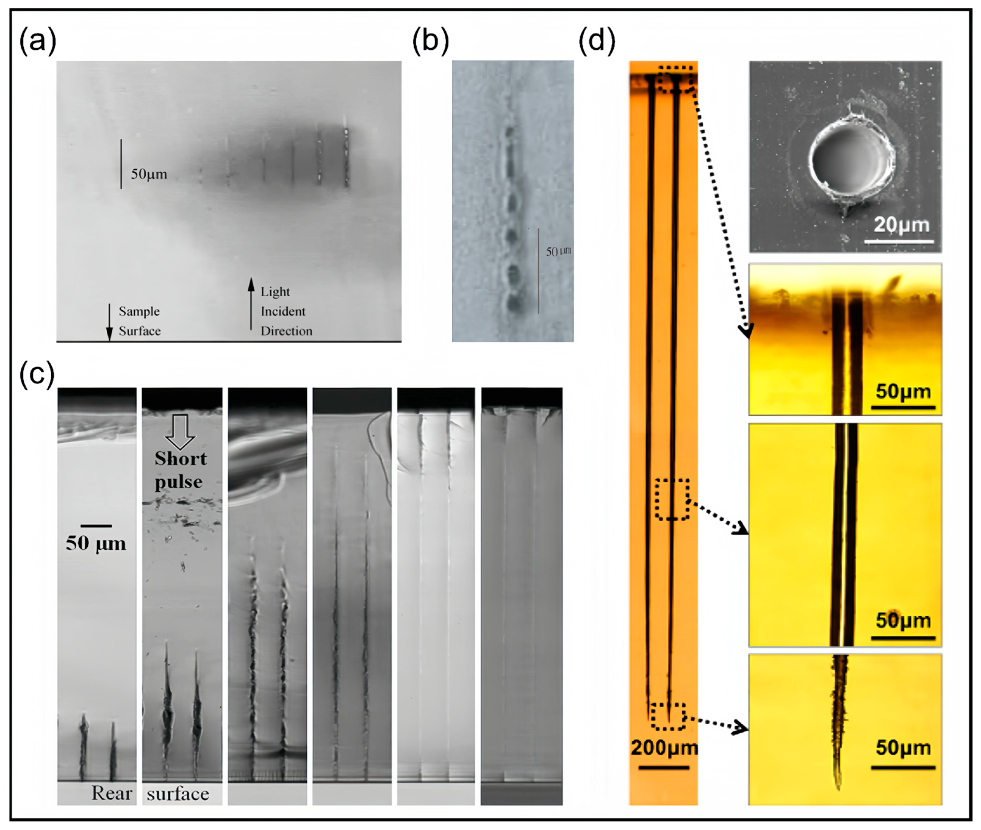 Nanomaterials 14 01428 g003