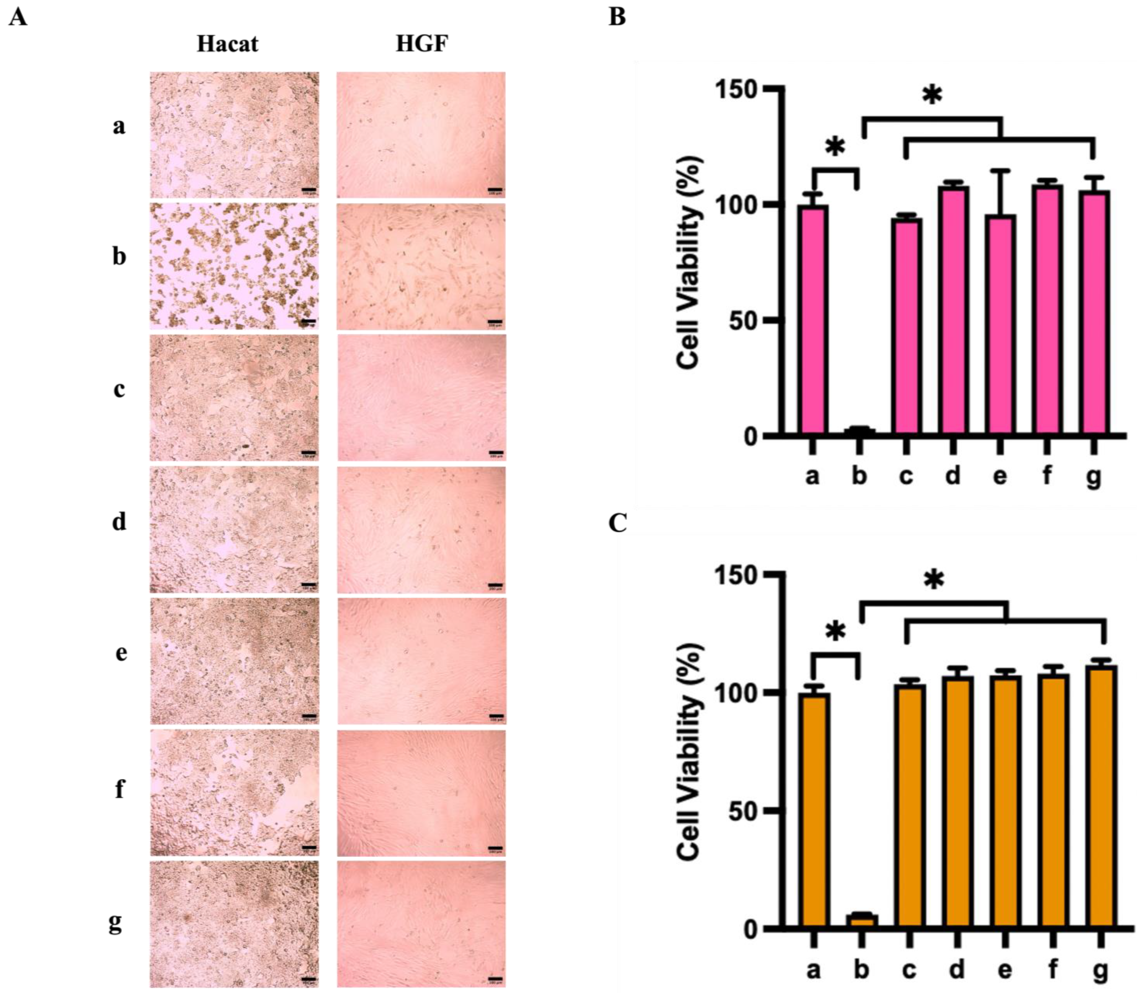 Nanomaterials 14 01429 g005