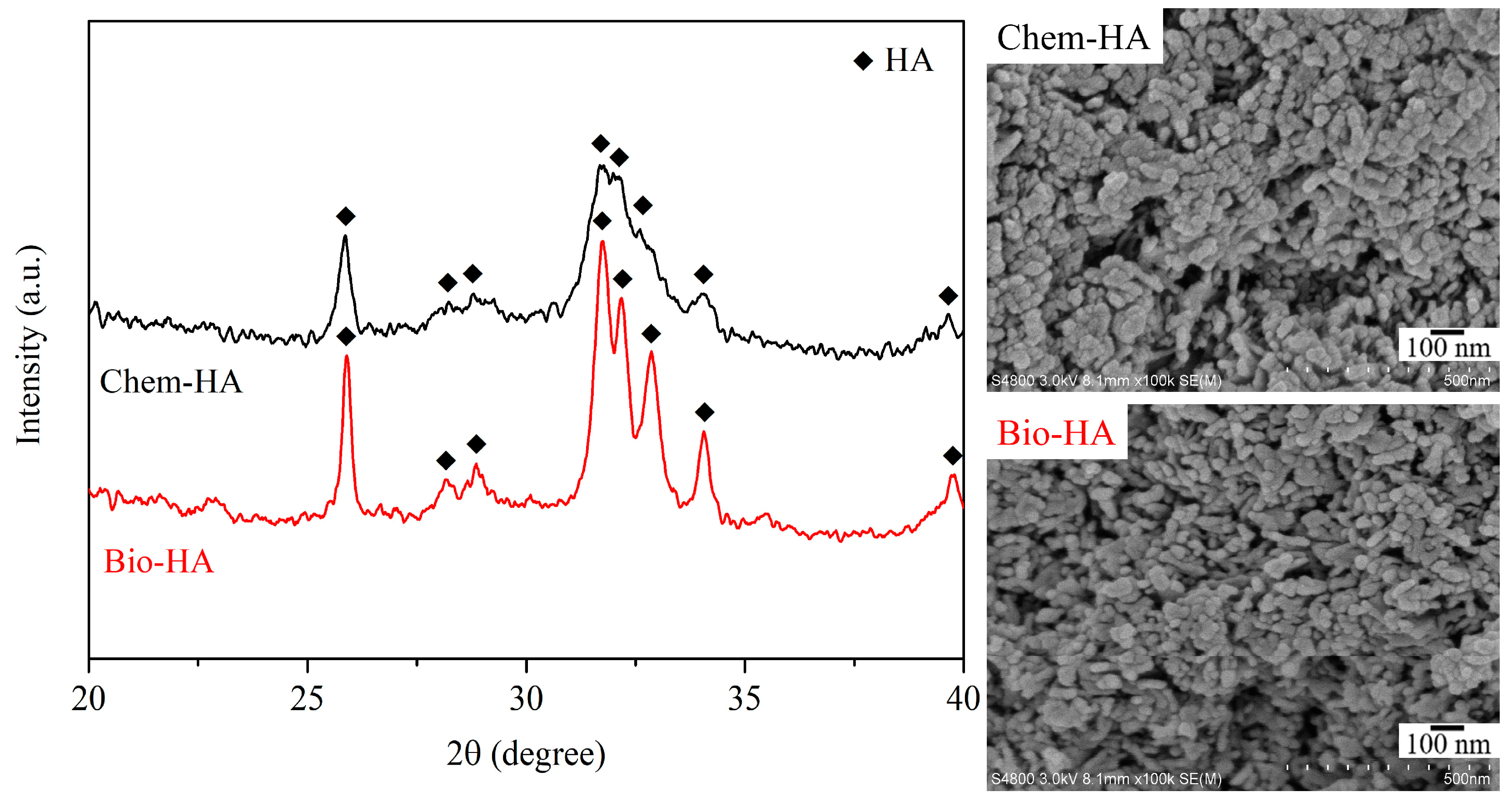 Nanomaterials 14 01431 g001