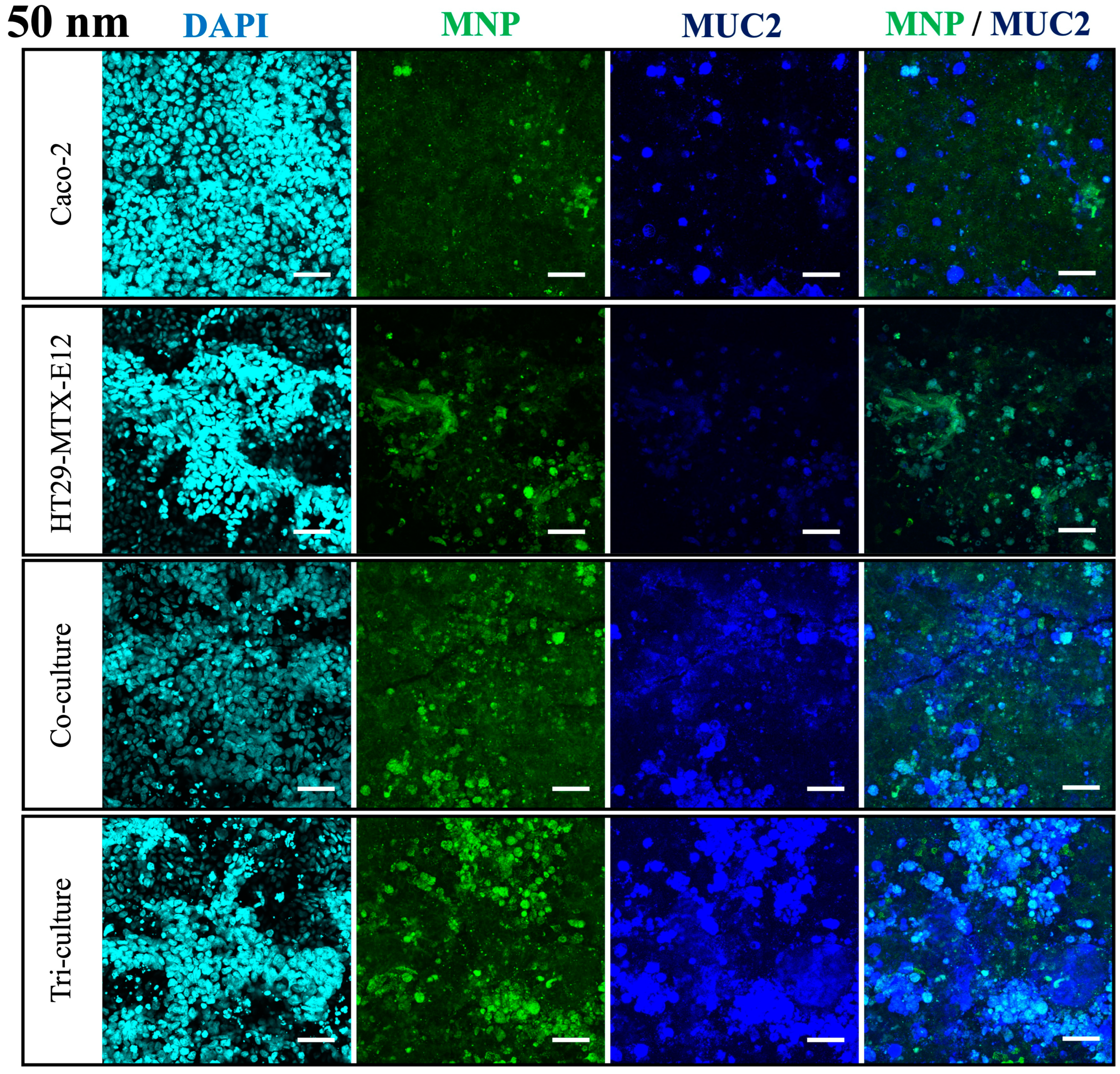 Nanomaterials 14 01435 g007