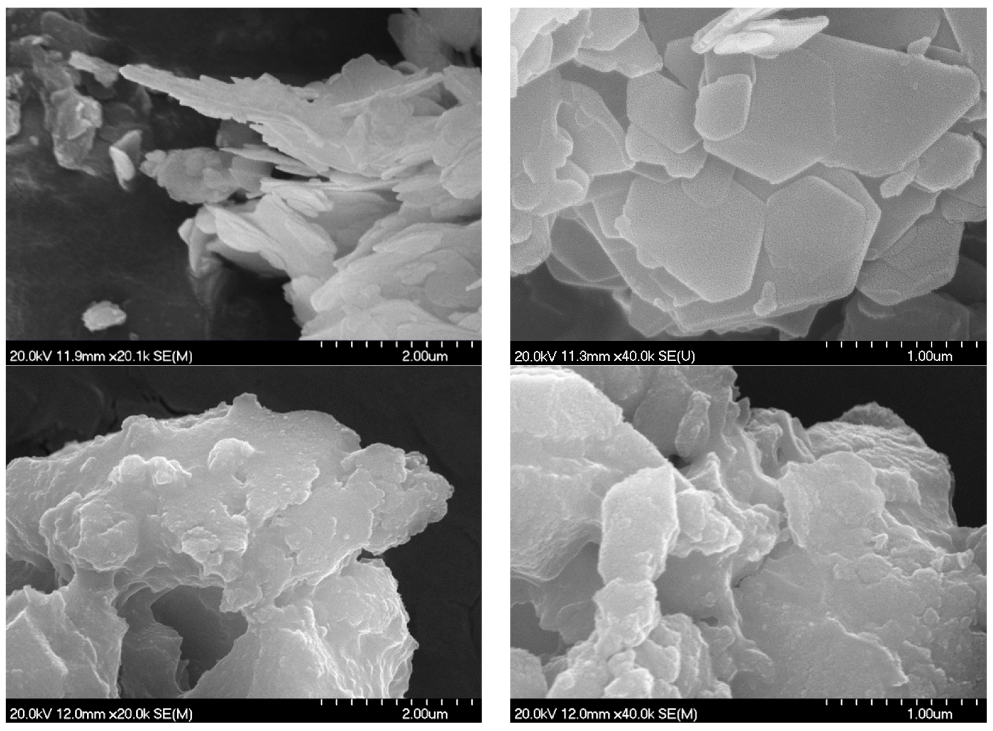Nanomaterials 14 01436 g002