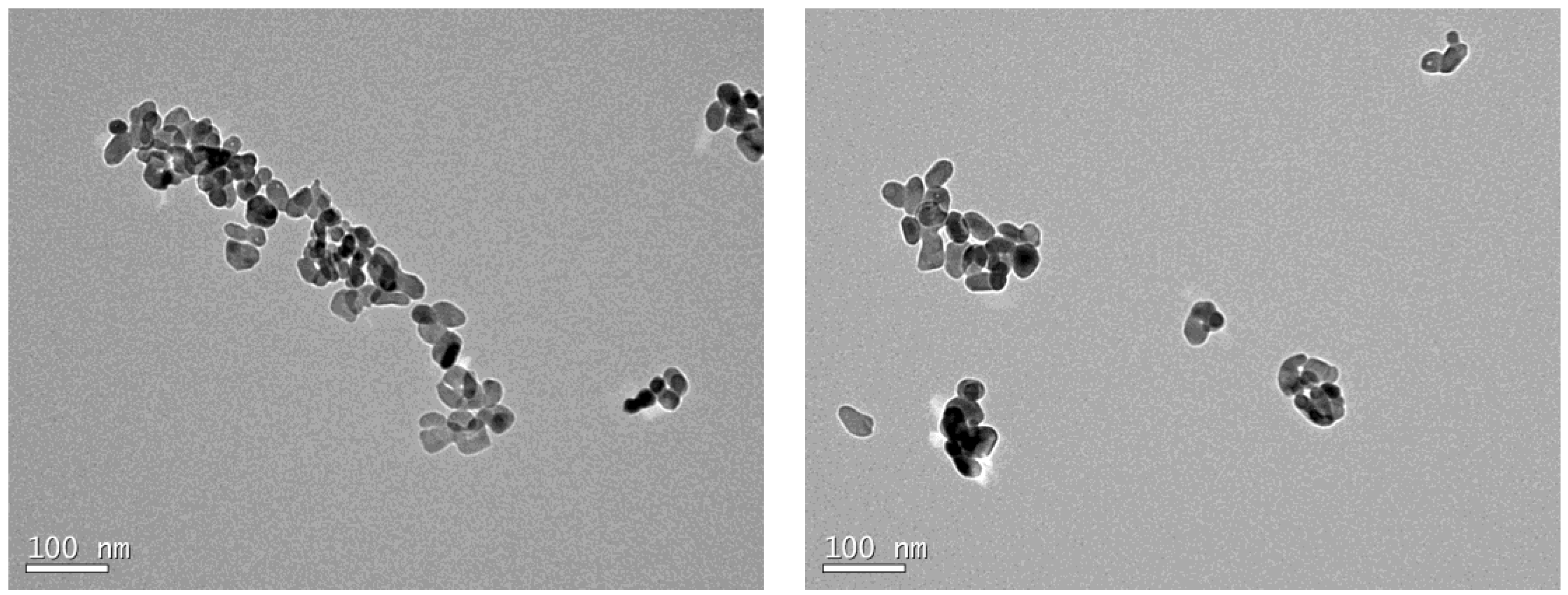 Nanomaterials 14 01447 g001