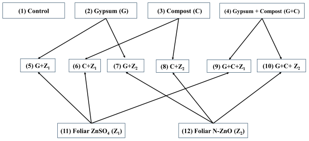 Nanomaterials 14 01450 i001