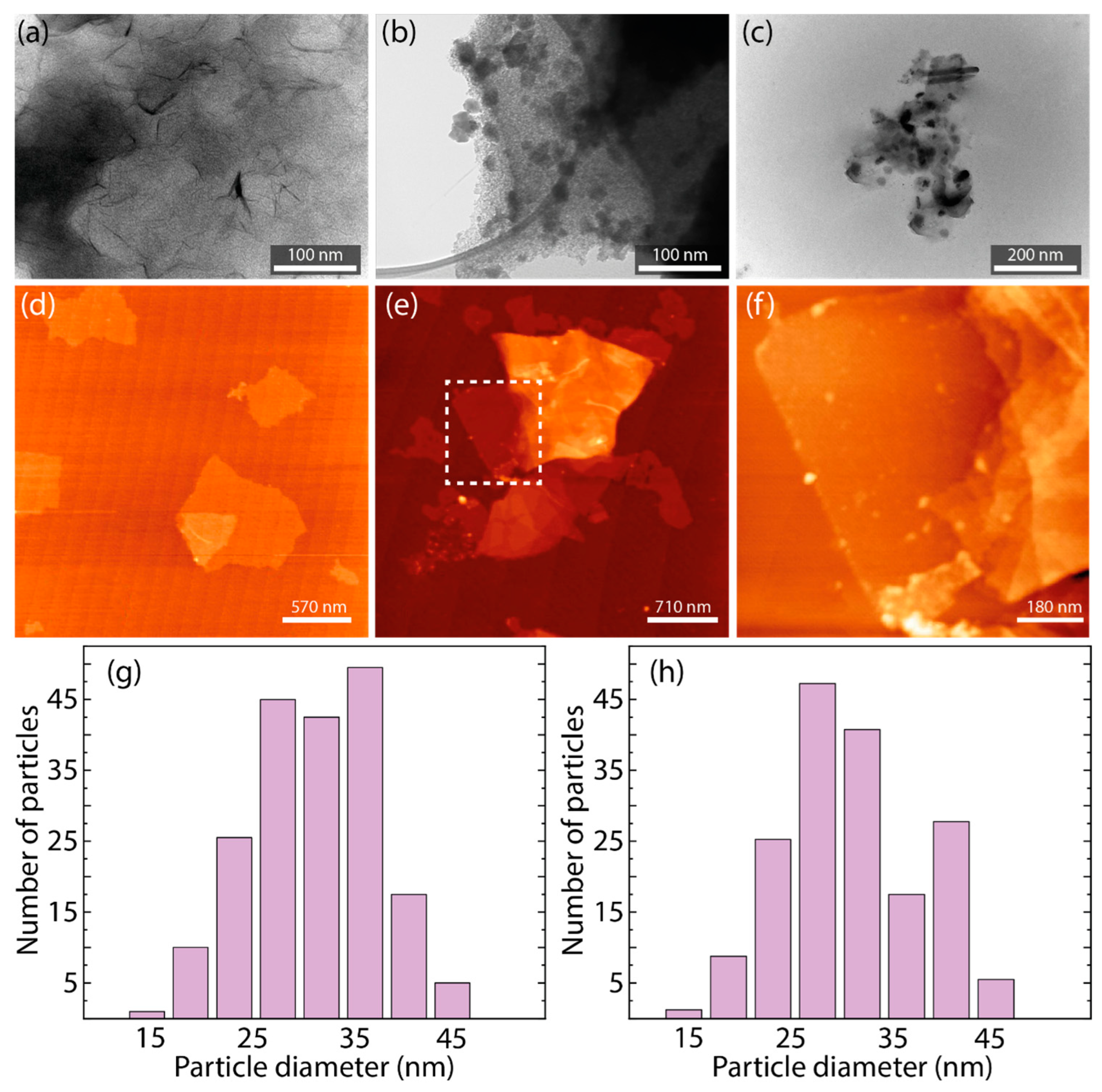 Nanomaterials 14 01455 g003