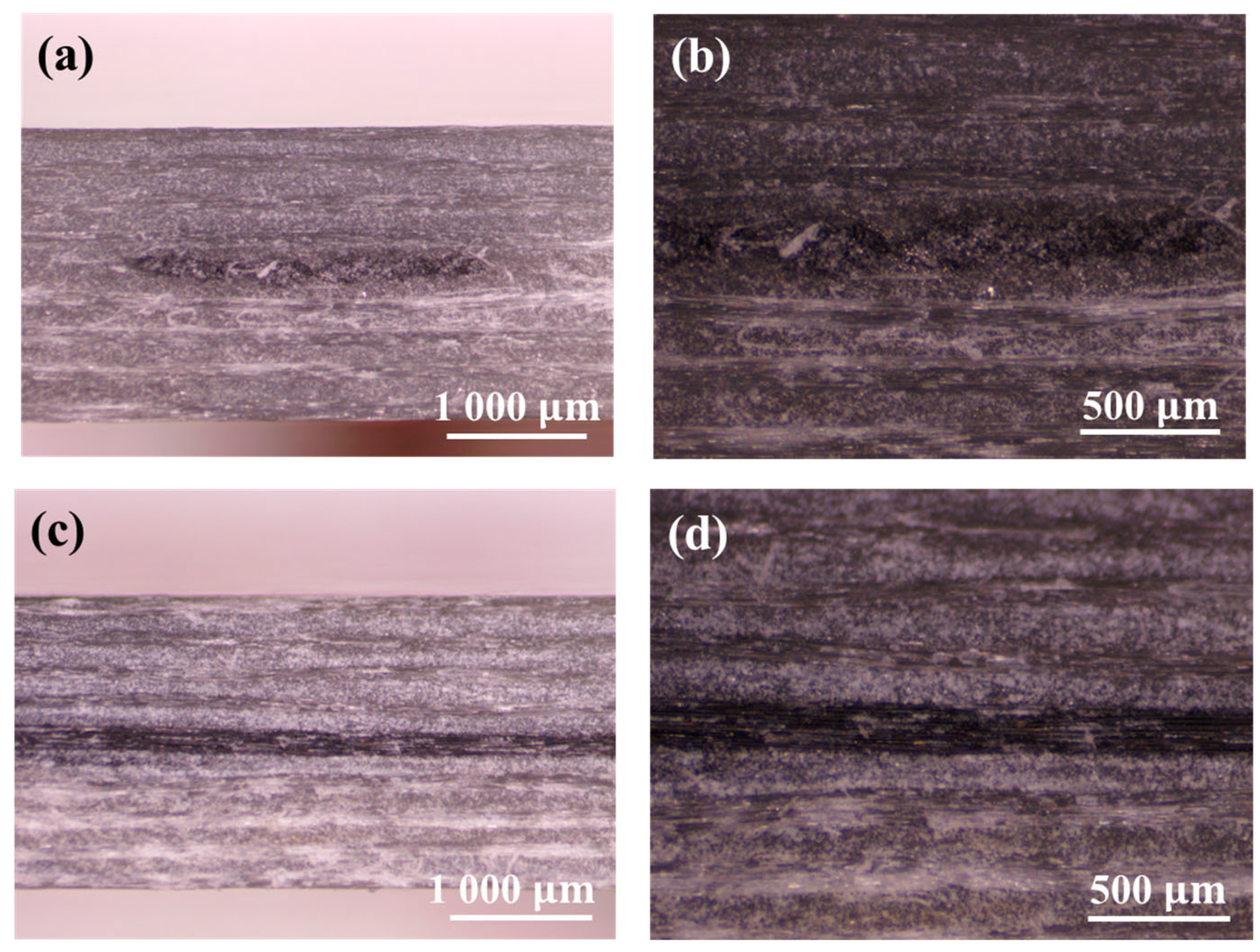 Nanomaterials 14 01462 g010