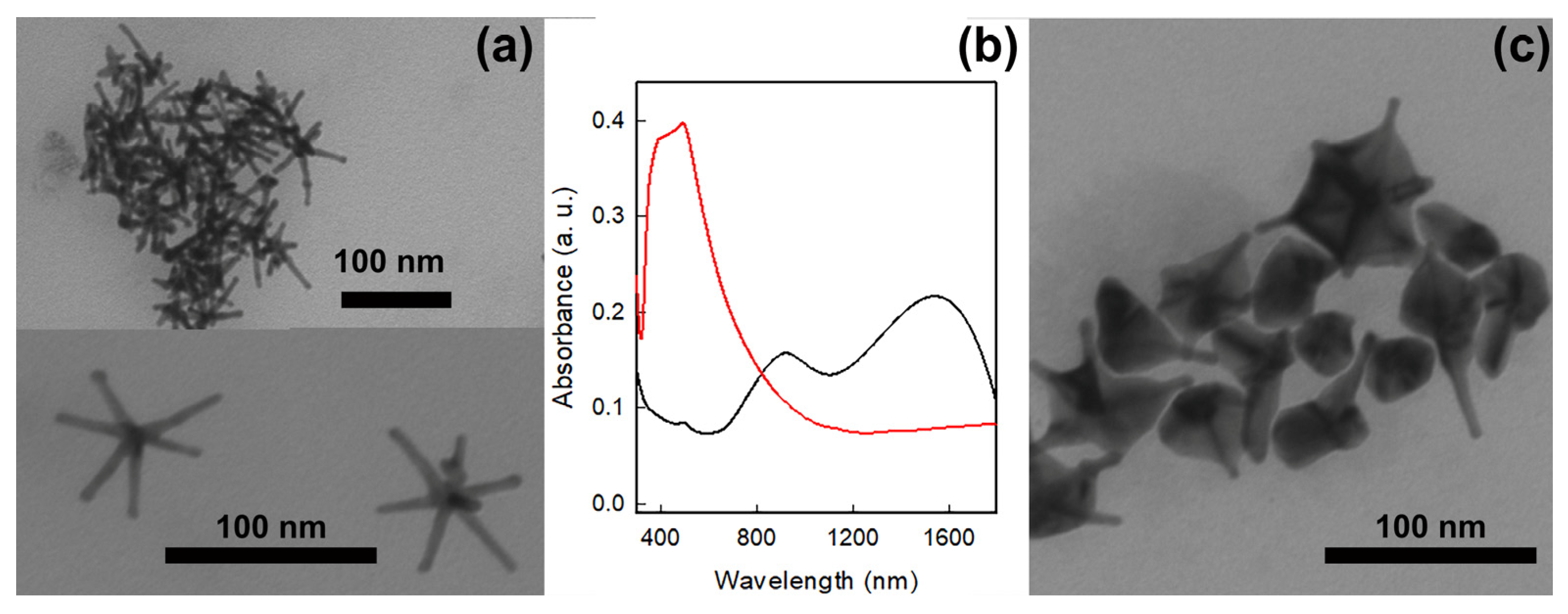 Nanomaterials 14 01467 g001