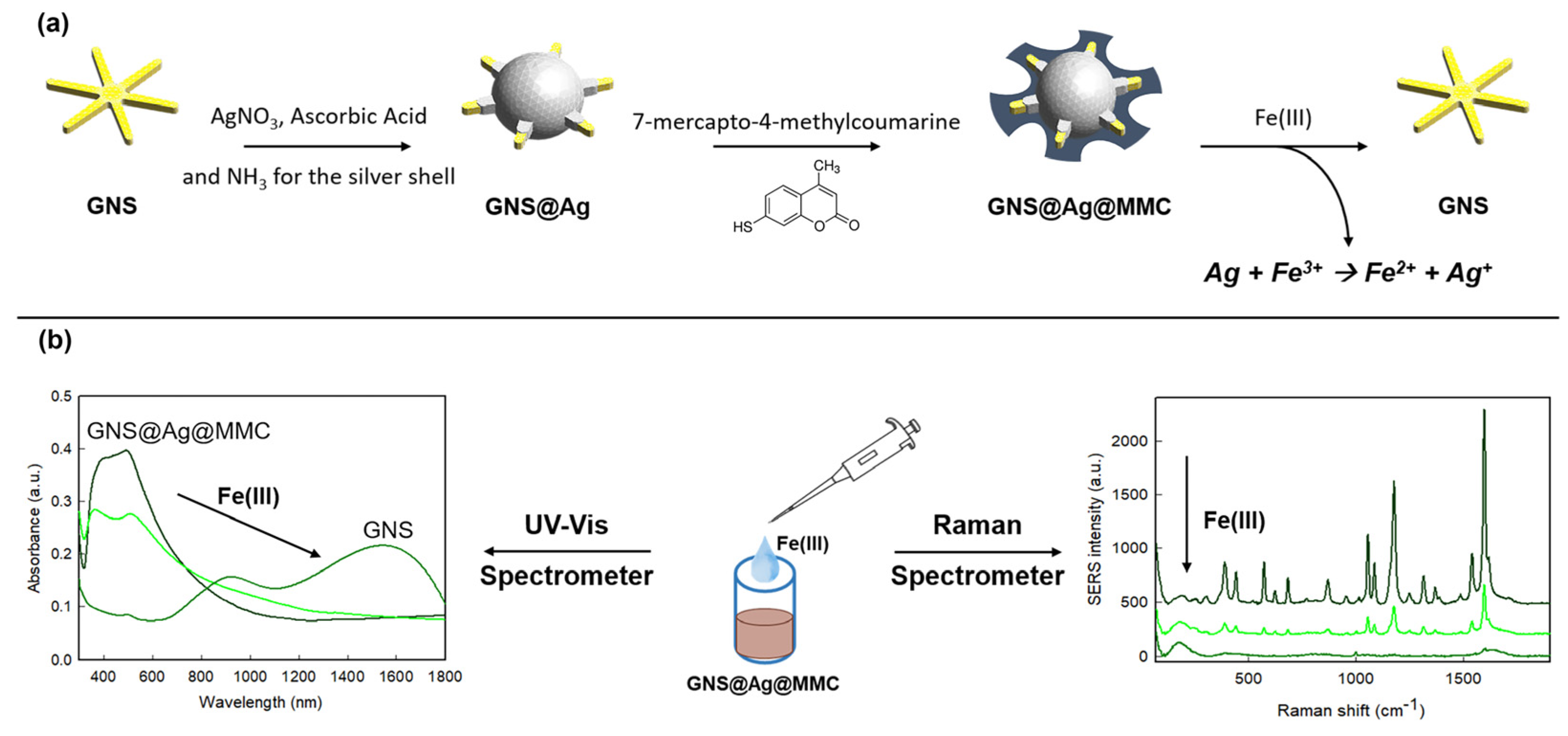 Nanomaterials 14 01467 sch001
