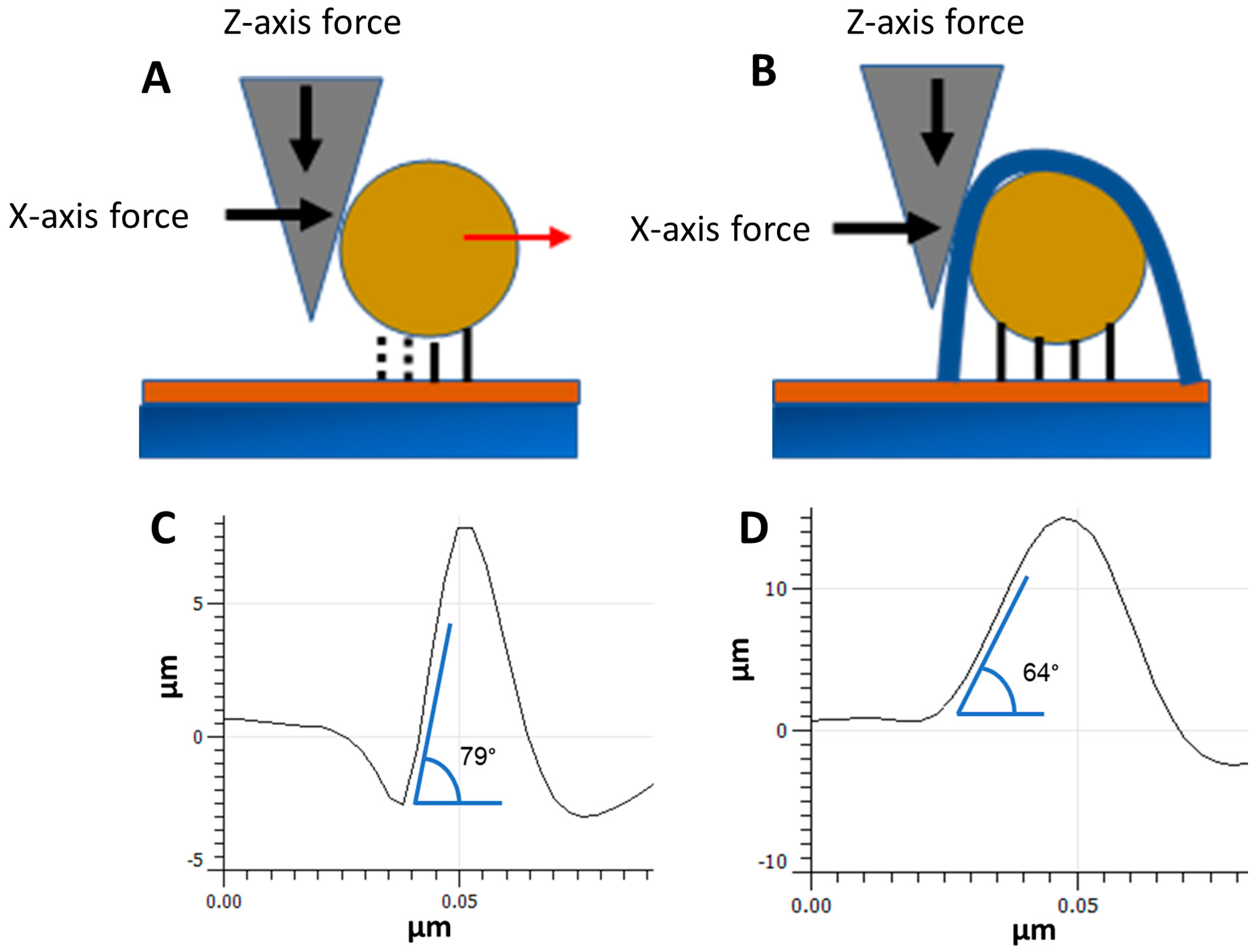Nanomaterials 14 01475 g004