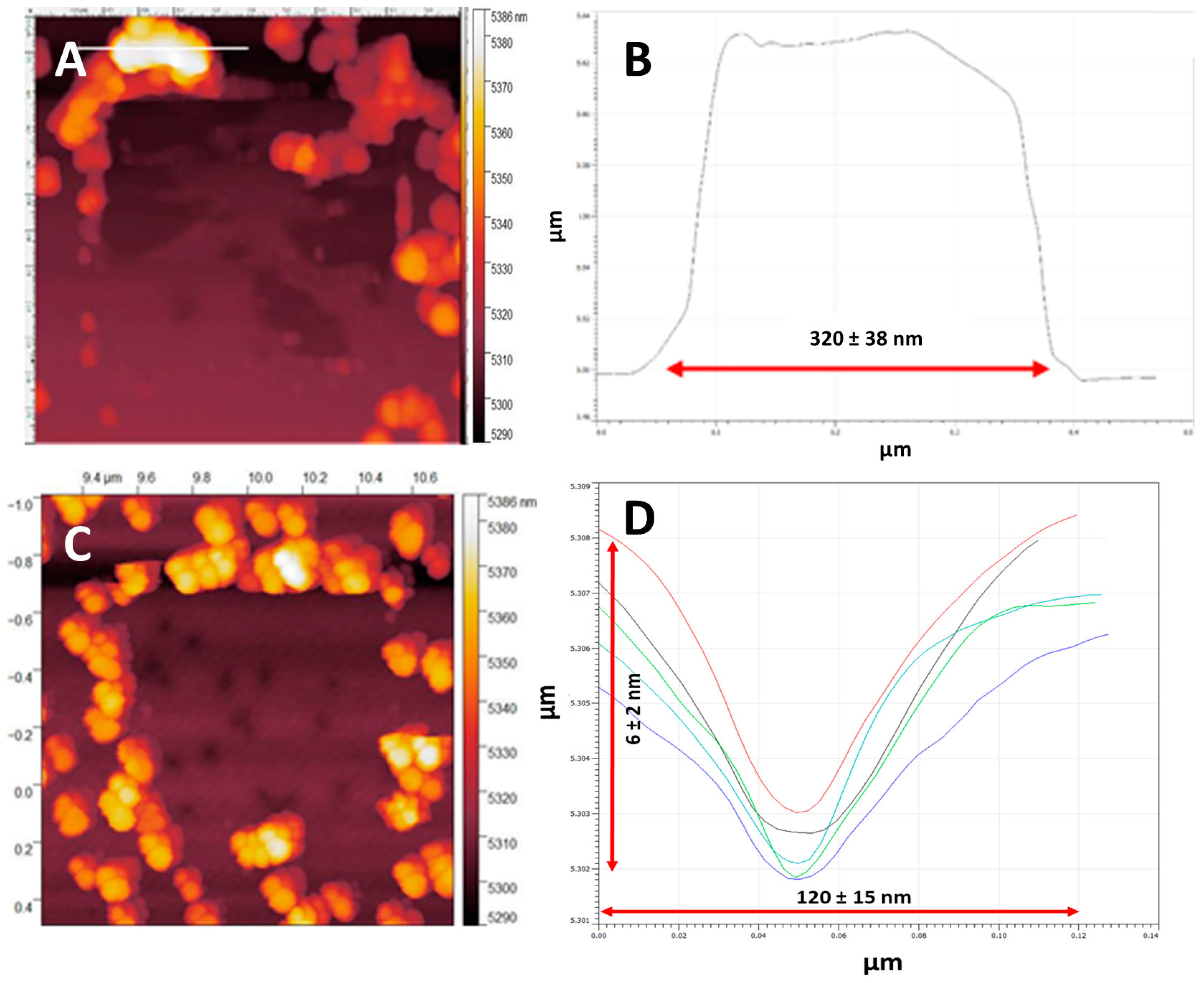 Nanomaterials 14 01475 g005