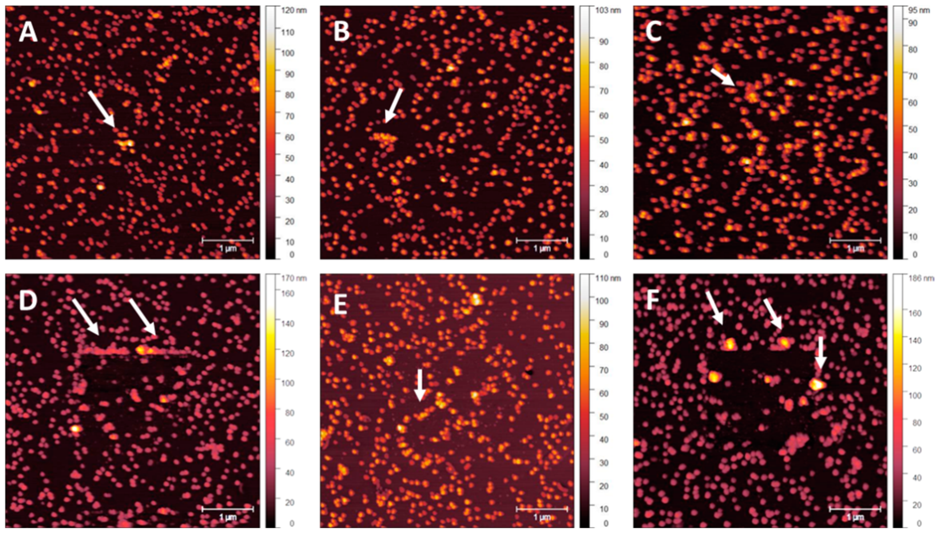 Nanomaterials 14 01475 g008