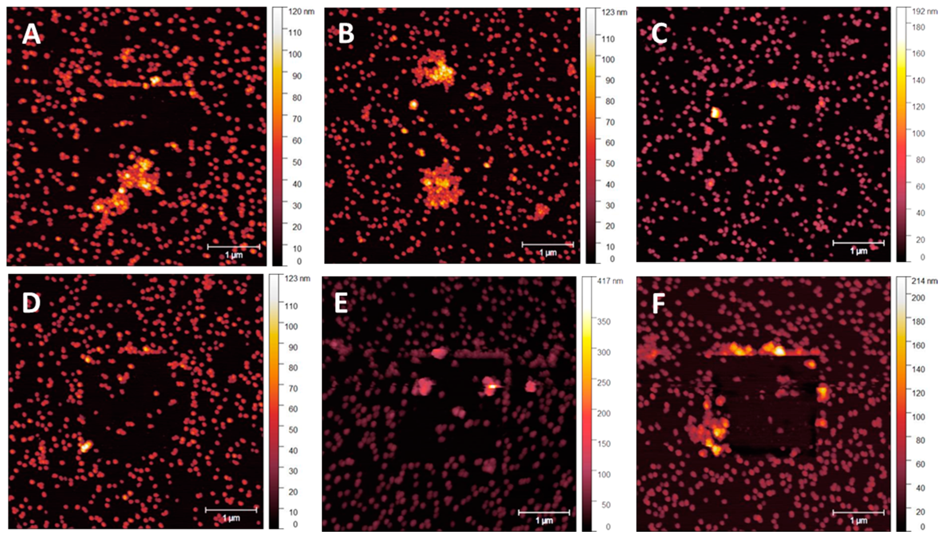 Nanomaterials 14 01475 g009