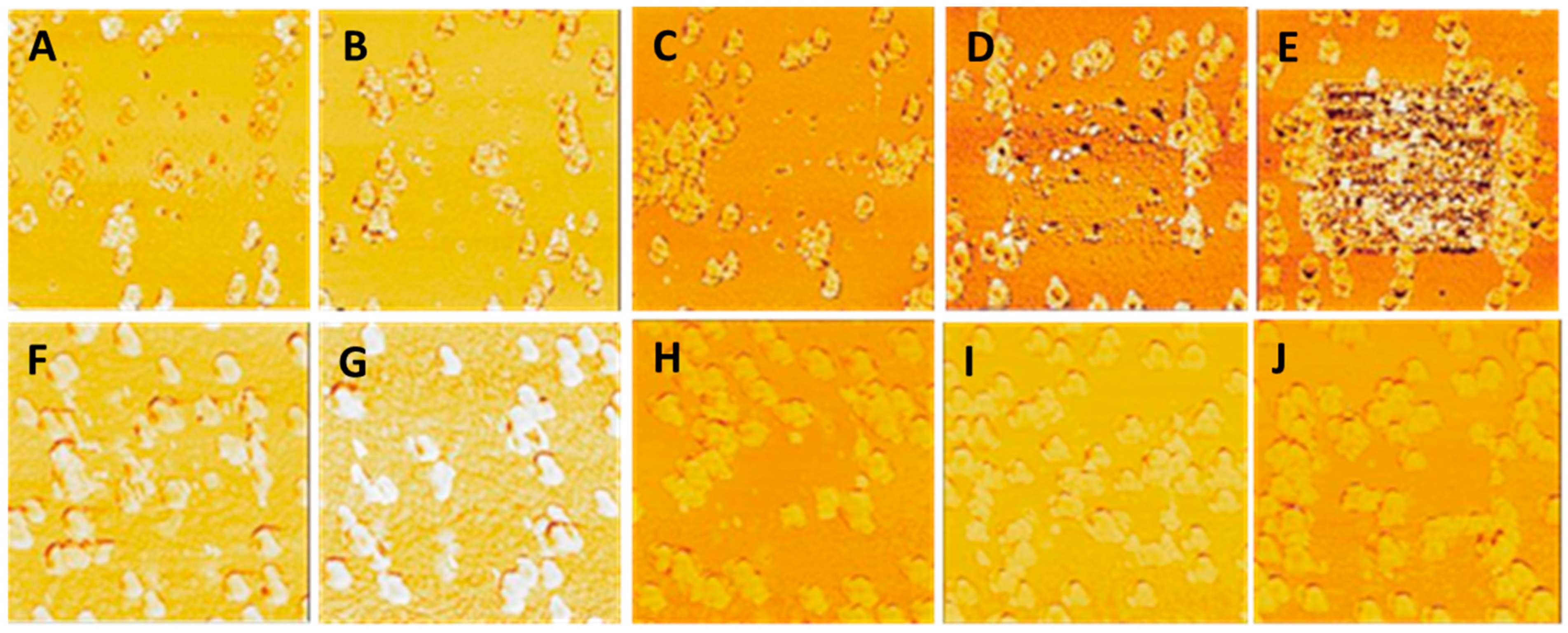 Nanomaterials 14 01475 g014