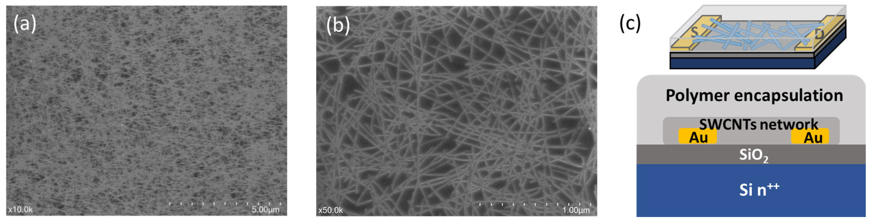Nanomaterials 14 01477 g001