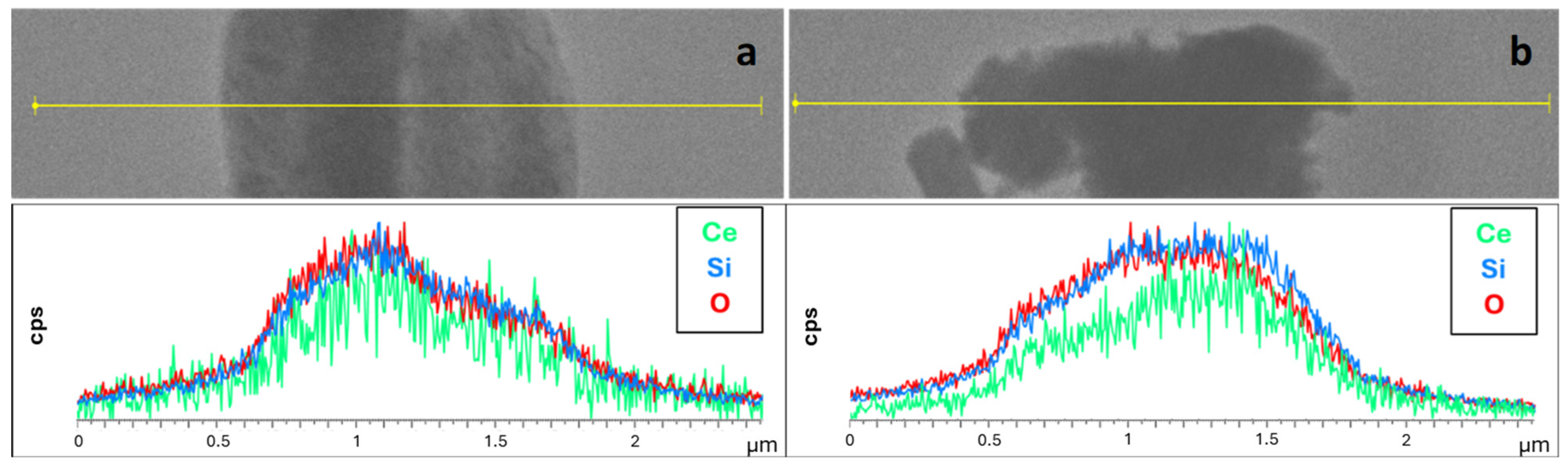 Nanomaterials 14 01490 g006