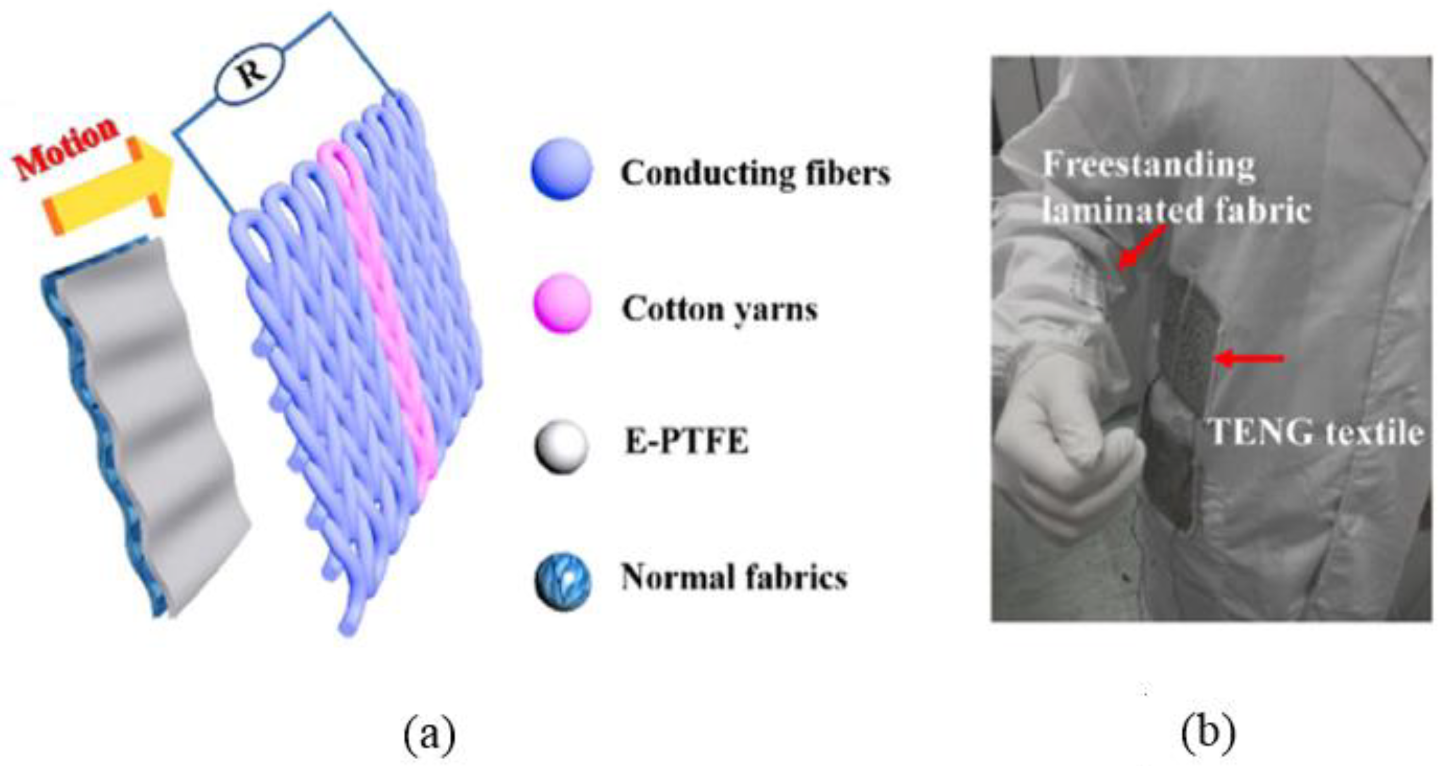 Nanomaterials 14 01500 g009