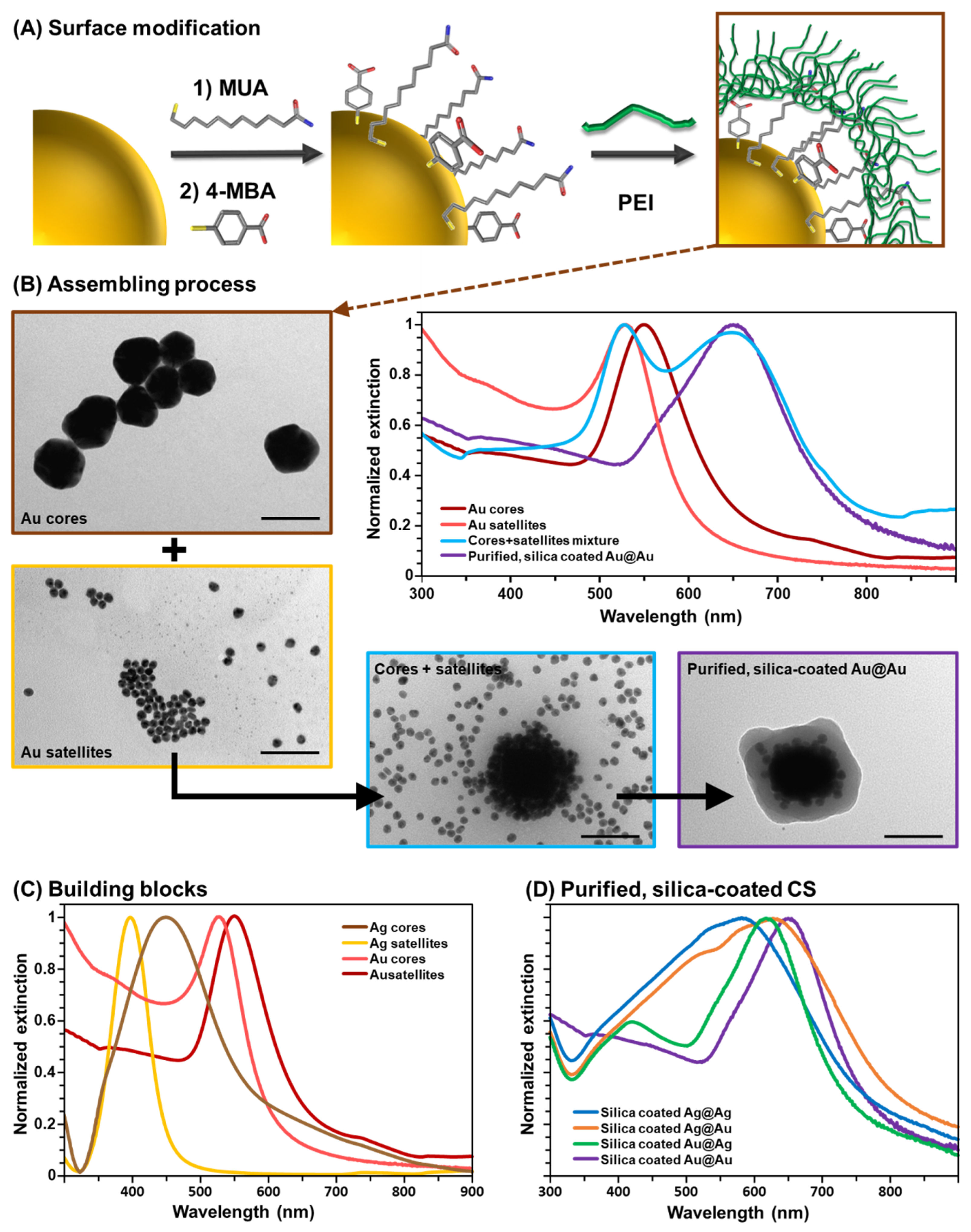 Nanomaterials 14 01506 g001