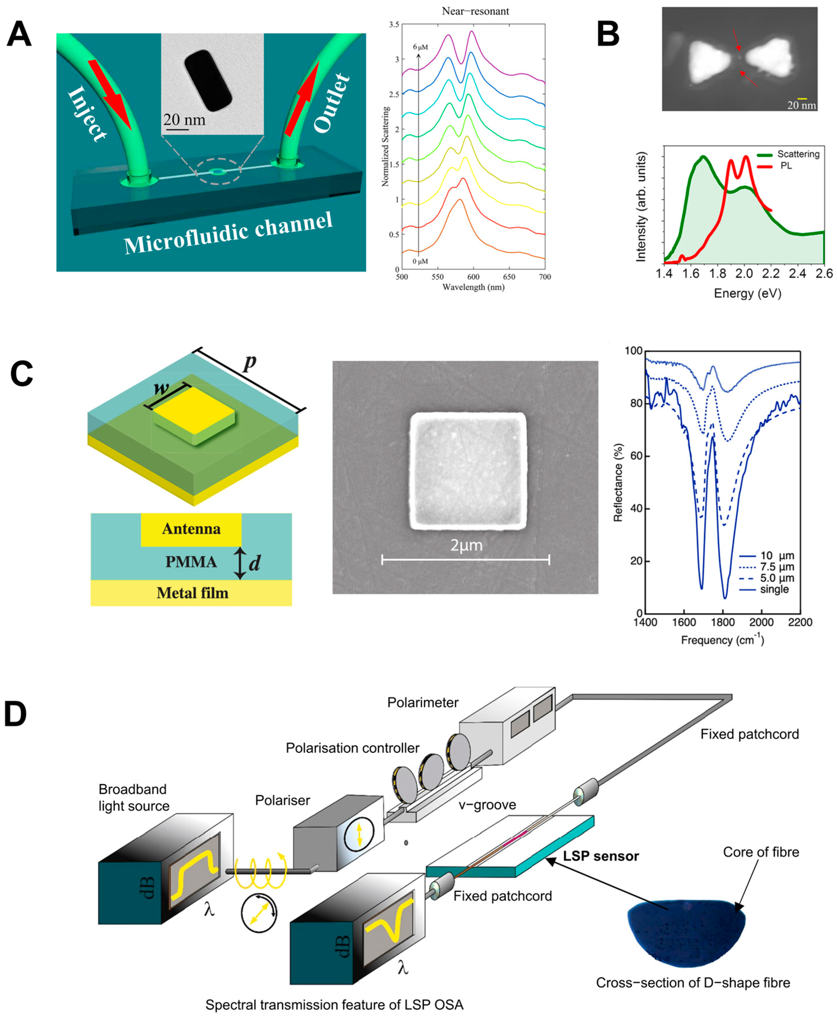 Nanomaterials 14 01520 g012