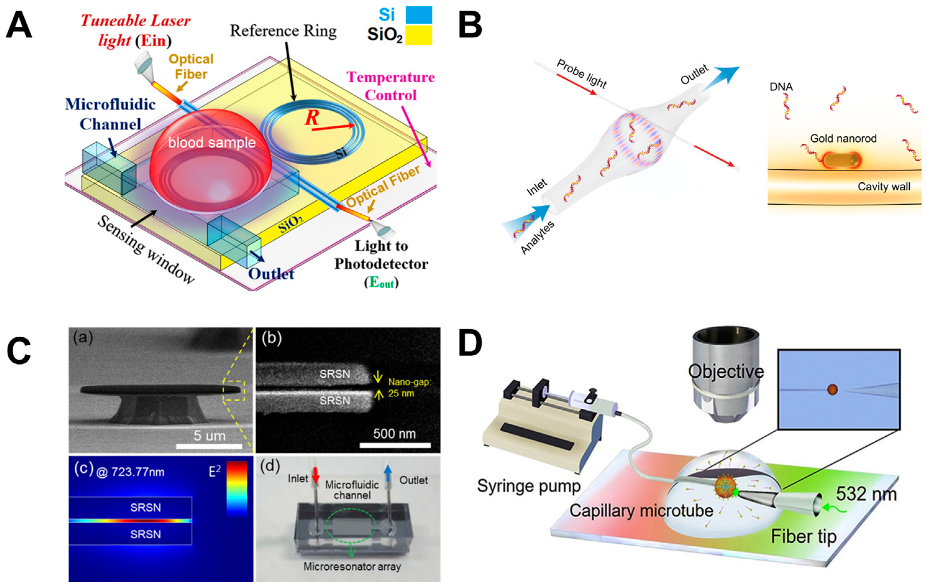 Nanomaterials 14 01520 g015