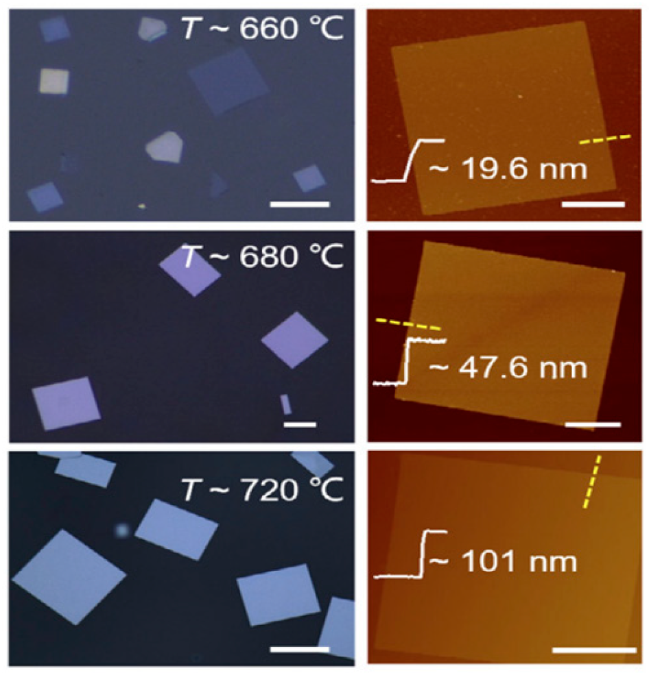 Nanomaterials 14 01530 g010 Nanomaterials 14 01530 g010