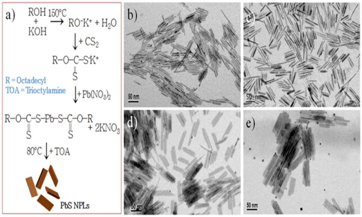 Nanomaterials 14 01530 g012 Nanomaterials 14 01530 g012