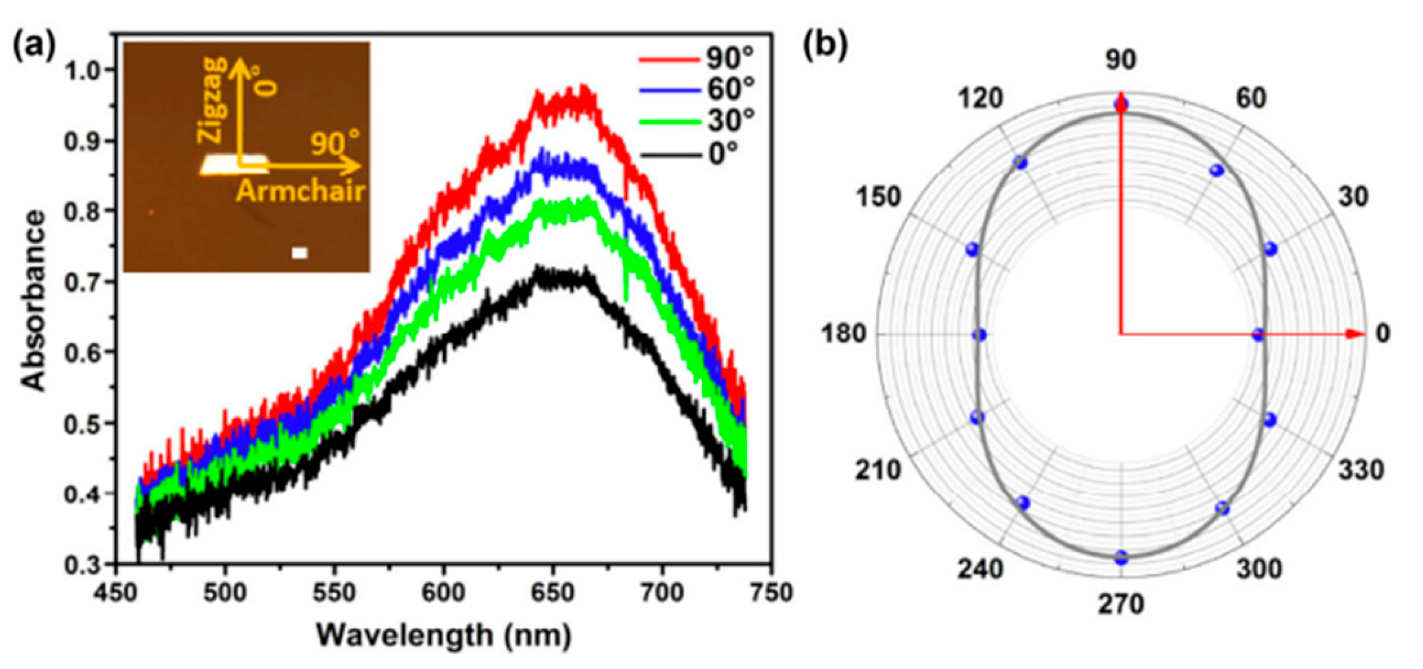 Nanomaterials 14 01530 g055 Nanomaterials 14 01530 g055