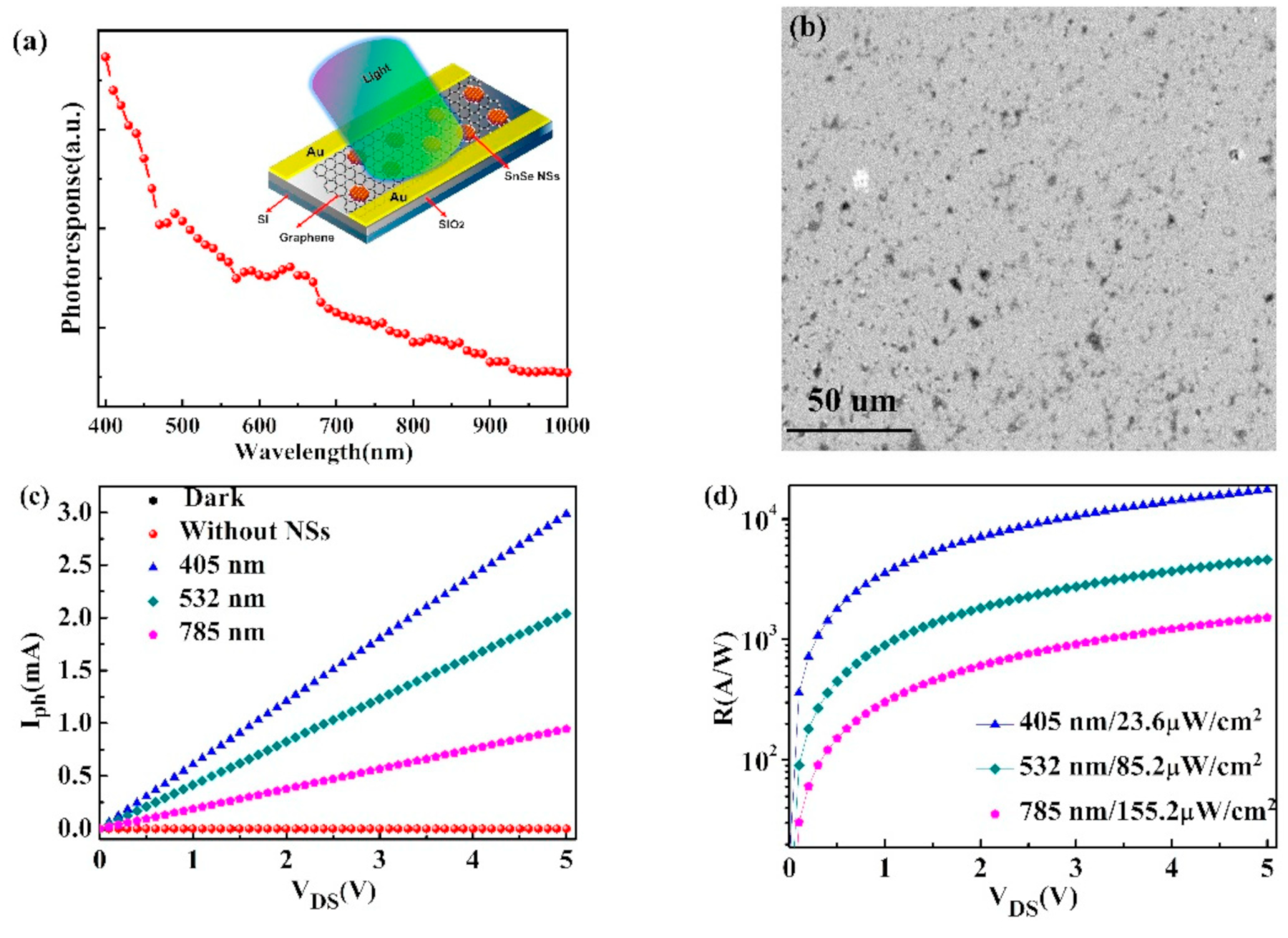 Nanomaterials 14 01530 g074 Nanomaterials 14 01530 g074
