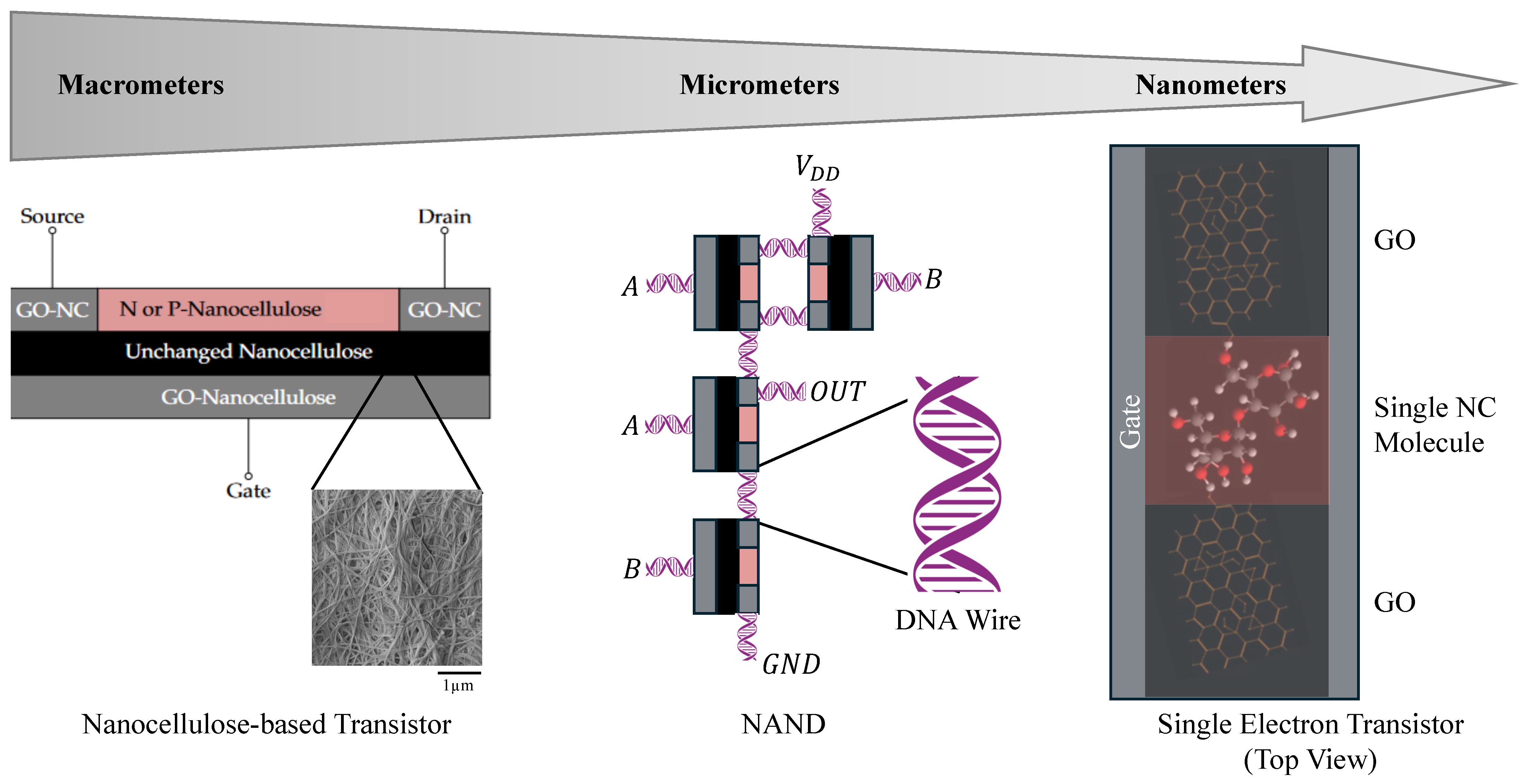 Nanomaterials 14 01536 g004