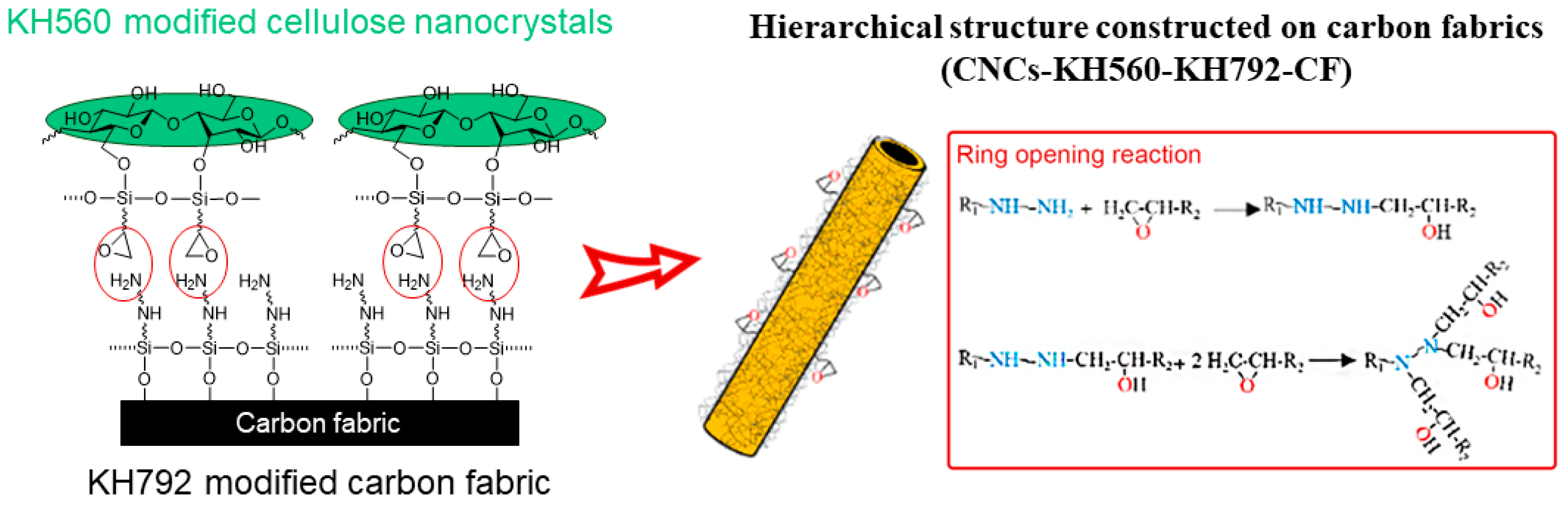 Nanomaterials 14 01537 g001