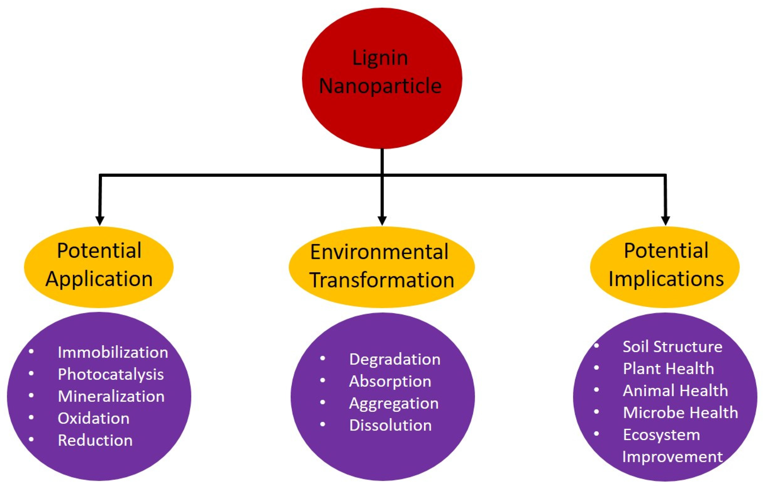 Nanomaterials 14 01541 g003