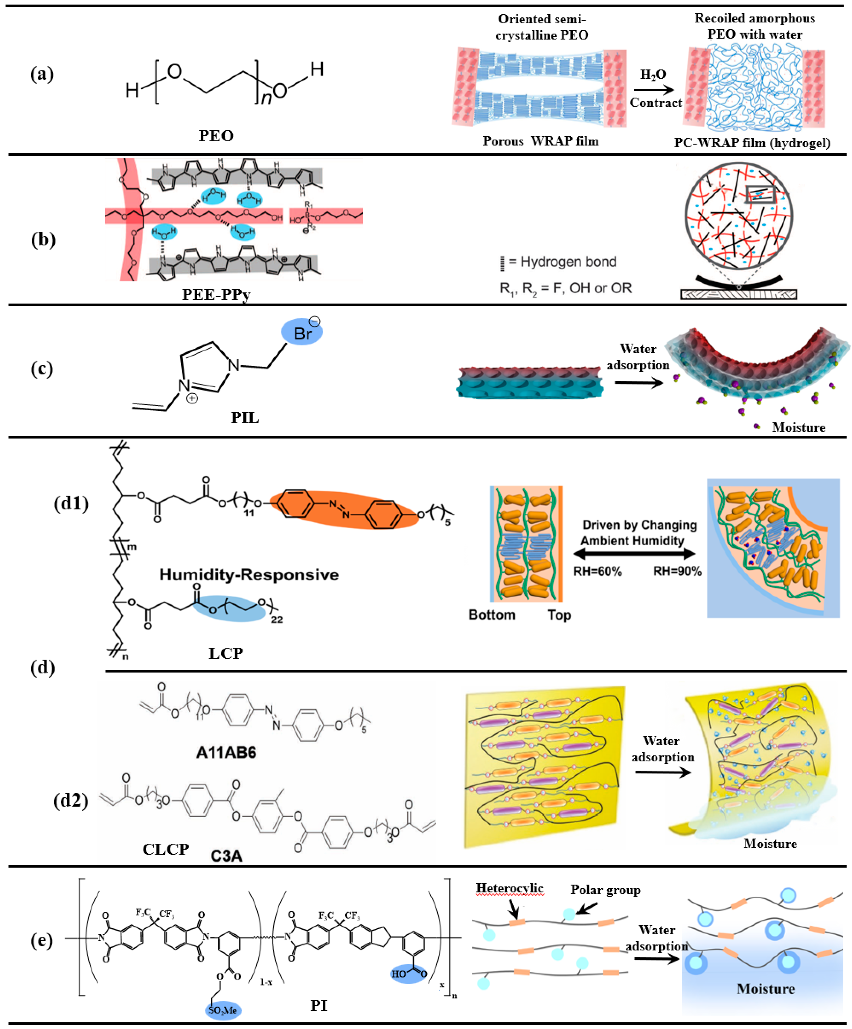 Nanomaterials 14 01544 g003