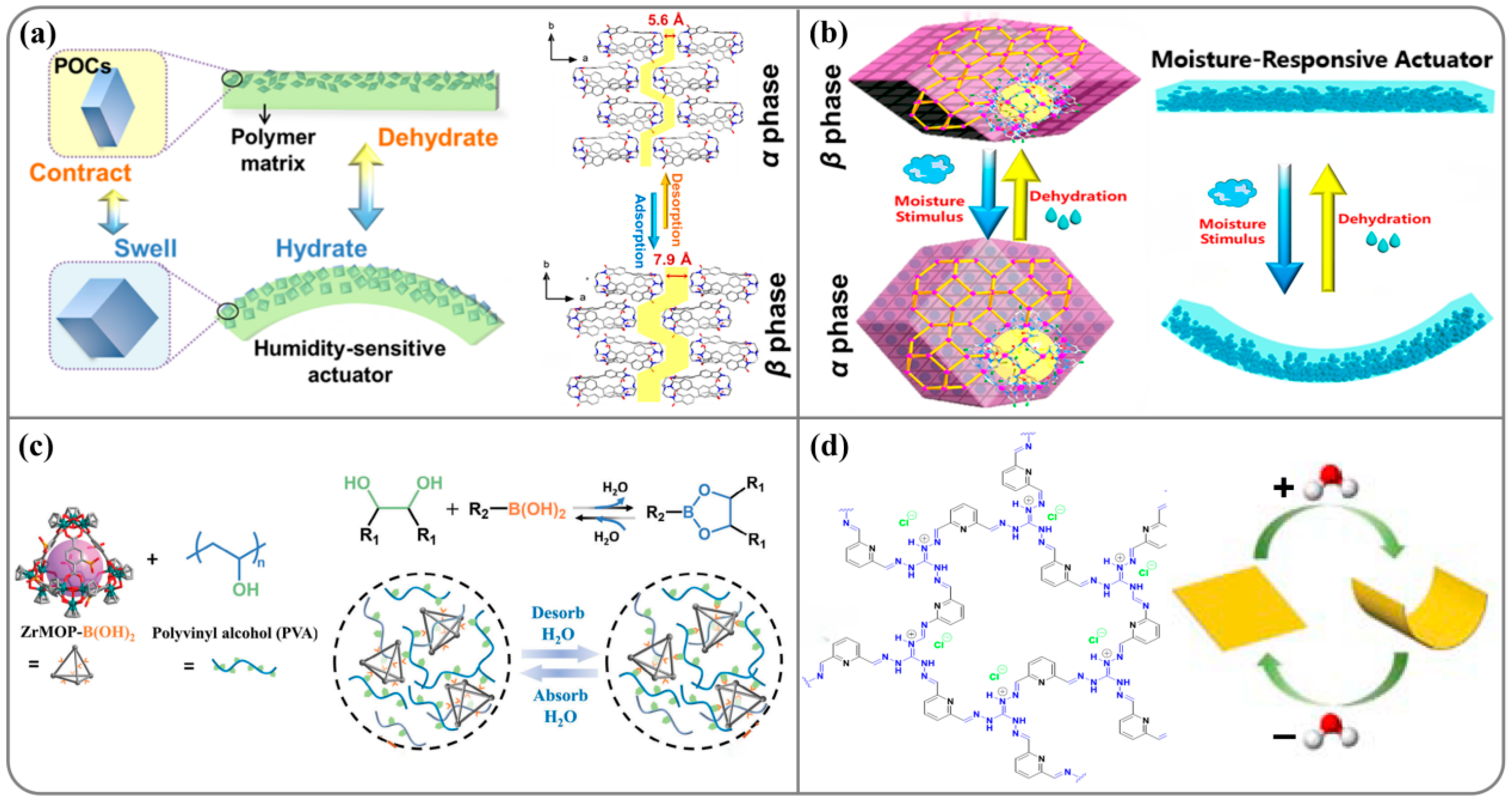 Nanomaterials 14 01544 g005