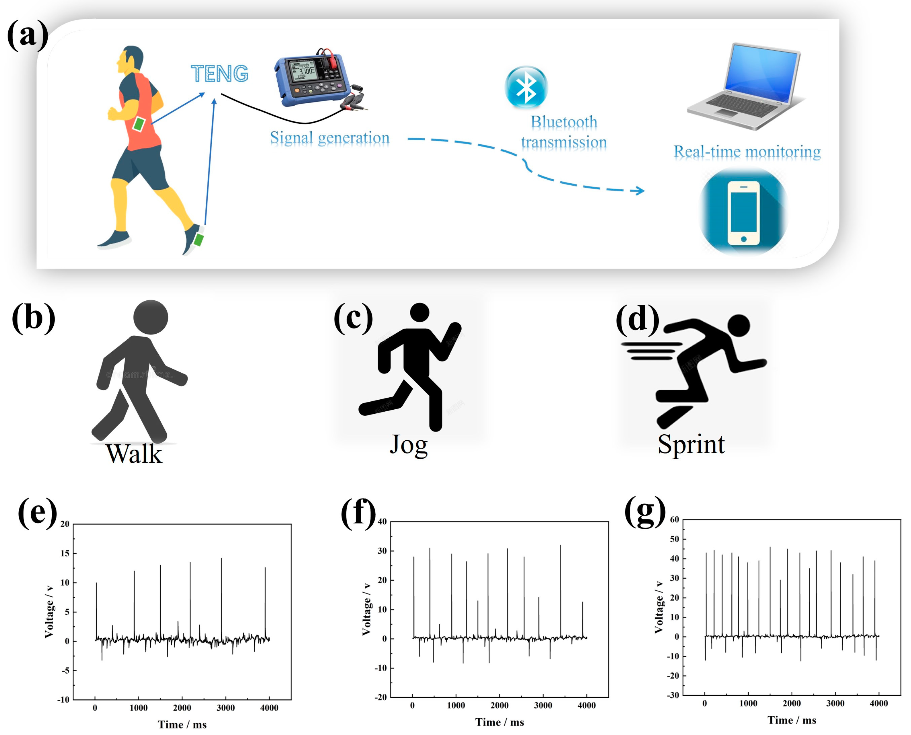 Nanomaterials 14 01549 g009