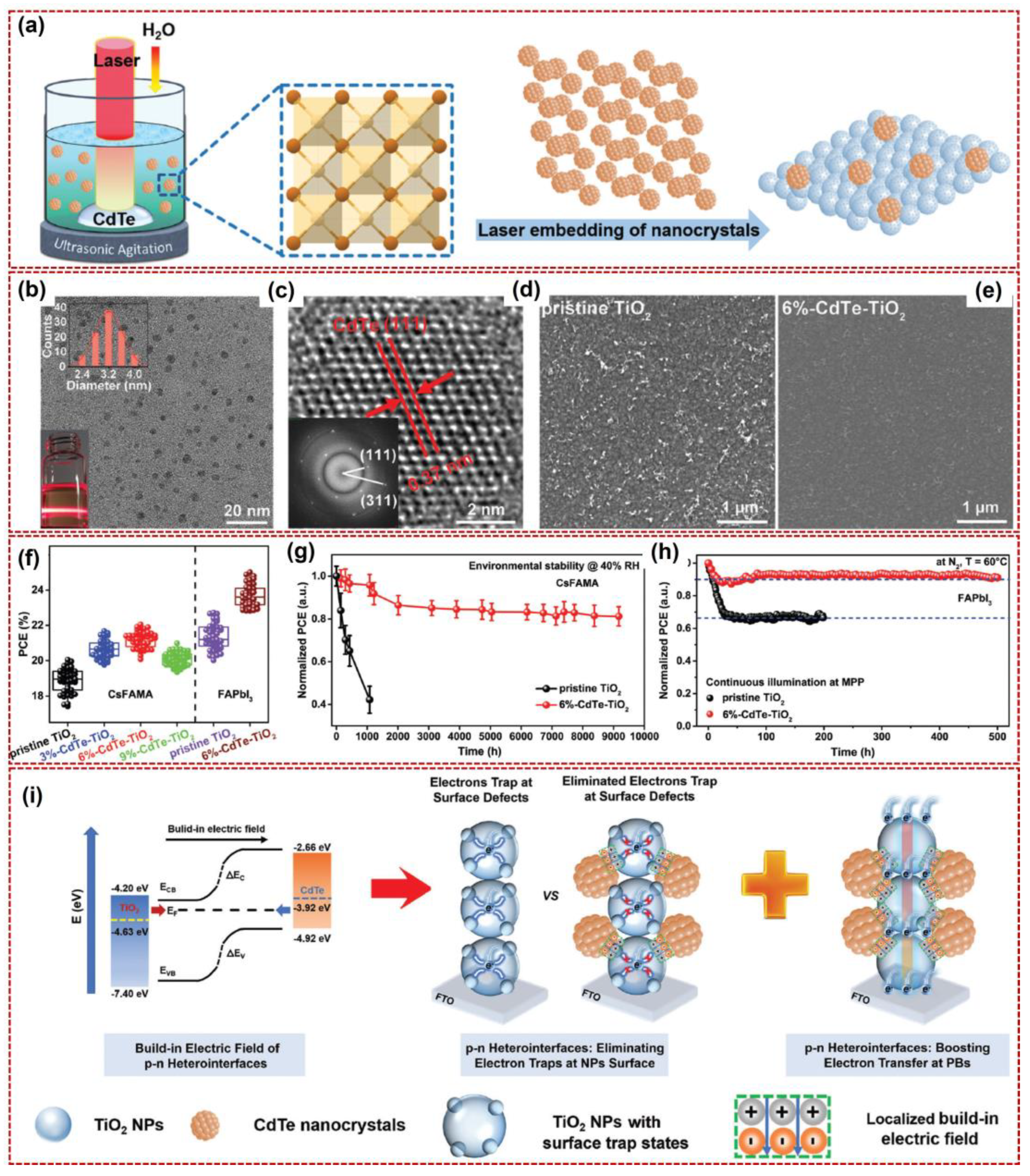 Nanomaterials 14 01550 g010