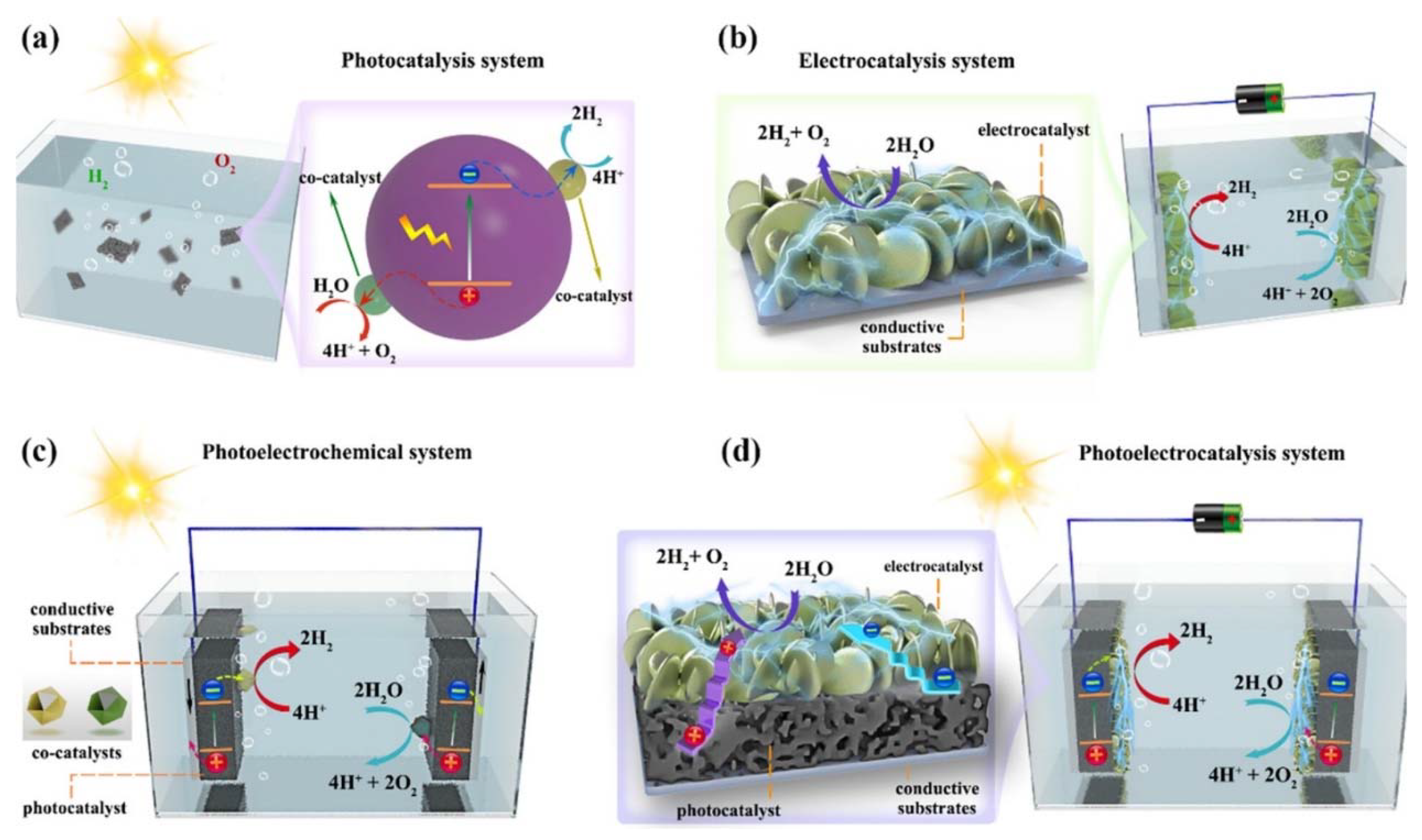 Nanomaterials 14 01560 g004