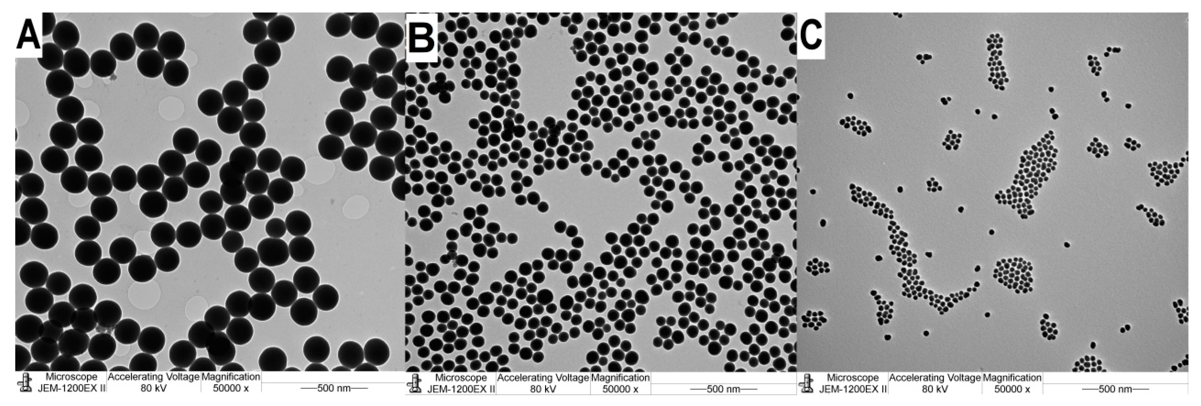 Nanomaterials 14 01561 g001
